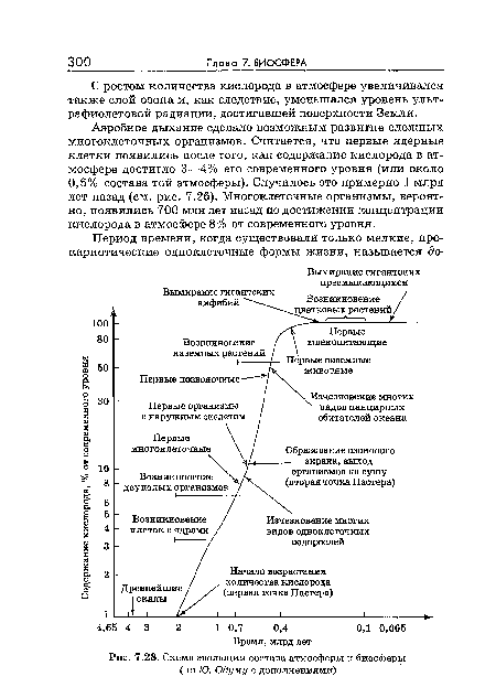 Схема эволюции состава атмосферы и биосферы (по Ю. Одуму с дополнениями)