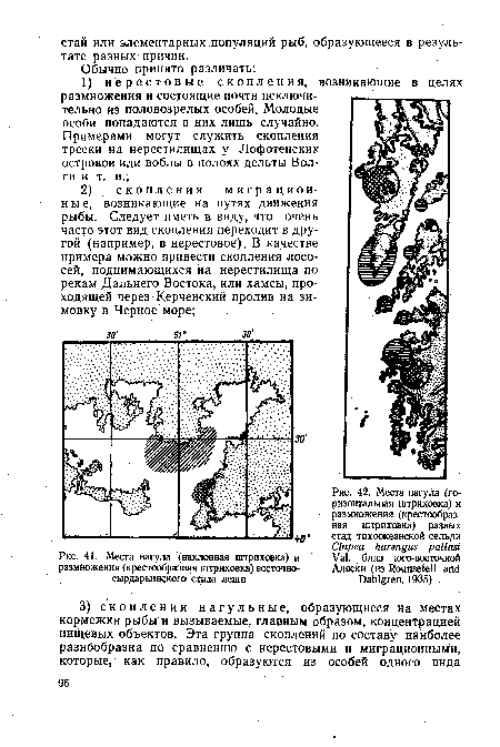 Места нагула (наклонная штриховка) и размножения (крестообразная штриховка) восточно-сырдарьинского стада леща