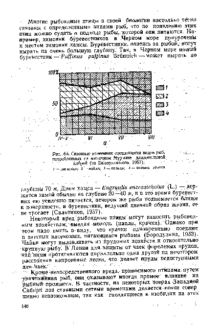 Сезонные изменения соотношения видов рыб, потребляемых на восточном Мурмане длинноклювой кайрой (из Бёлопольского, 1957)