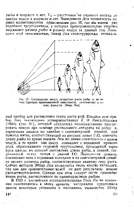 Соотношение между скоростью роста рыбы и ее чешуи (принцип прямолинейной зависимости, положенный в основу формулы Эйнар Леа)