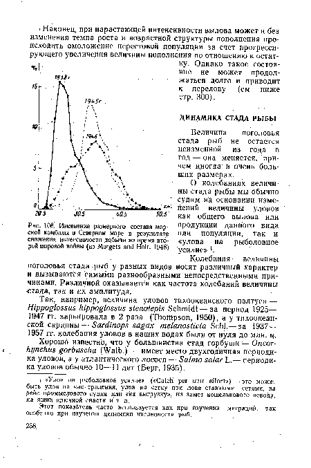 Изменение размерного состава морской камбалы в Северном море в результате снижения интенсивности добычи во время второй мировой войны (из Margets and Holt, 1948)