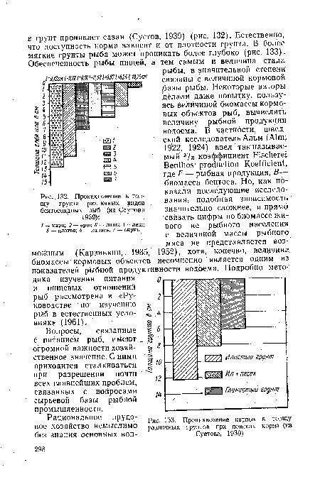 Проникновение в толщу грунта различных видов бентосоядных рыб (из Сеутова 1939)