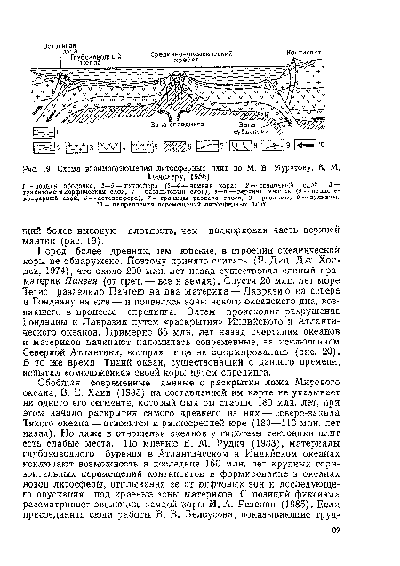 Схема взаимоотношения литосферных плит по М. В. Муратову, В. М.