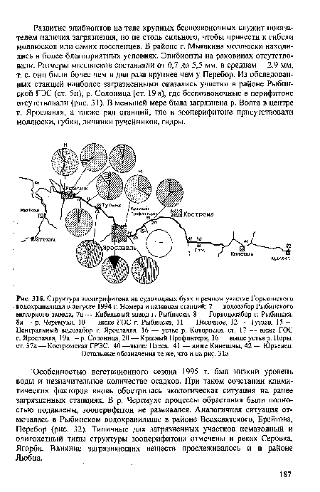 Структура зооперифитона на судоходных буях в речном участке Горьковского ; водохранилища в августе 1994 г. Номера и названия станций