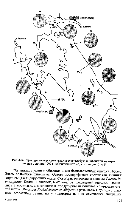 Структура зооперифитона на судоходных буях в Рыбинском водохранилище в августе 1997 г. Обозначения те же, что и на рис. 31а, 6