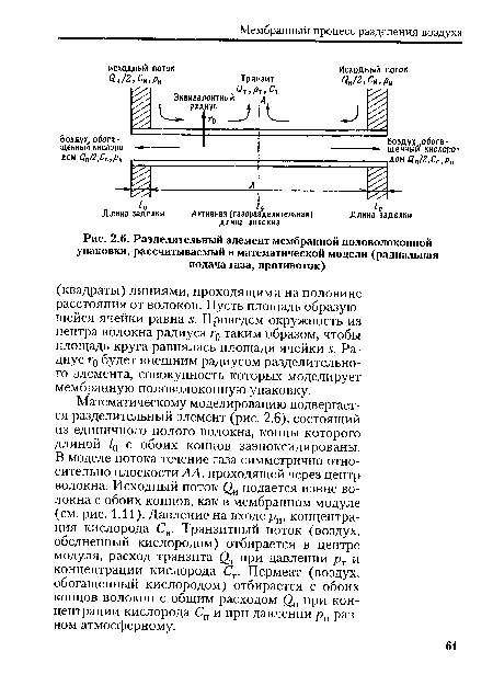 Разделительный элемент мембранной половолоконной упаковки, рассчитываемый в математической модели (радиальная подача газа, противоток)
