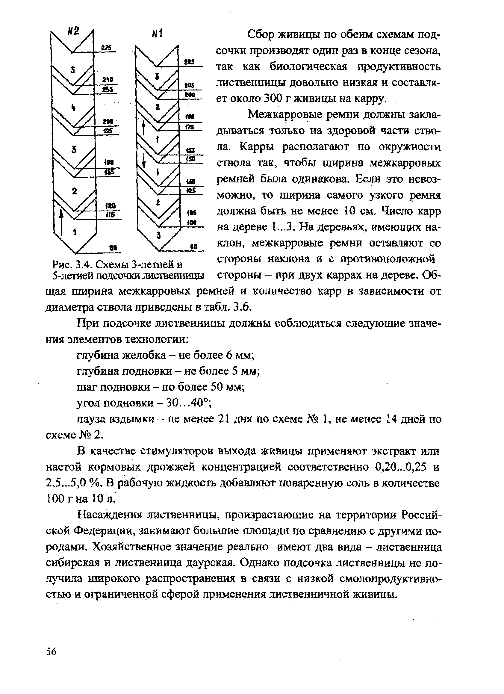 Схемы подсочки сосны