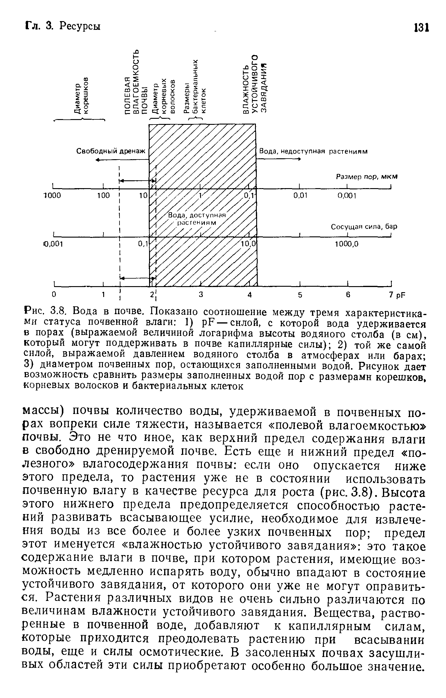 Схема закладки почвенного разреза