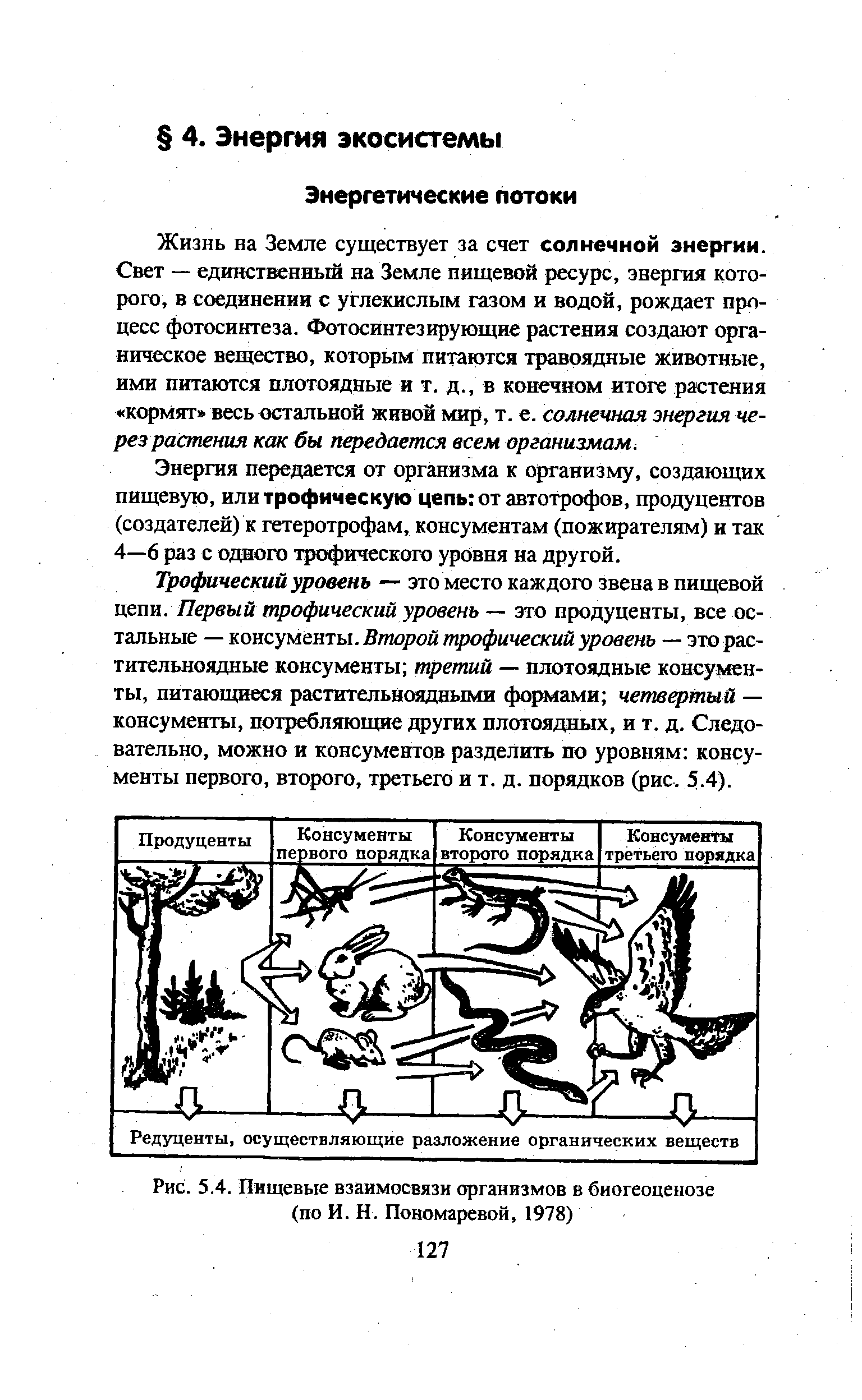 Рассмотрите рисунок номерами обозначены организмы образующие пищевую