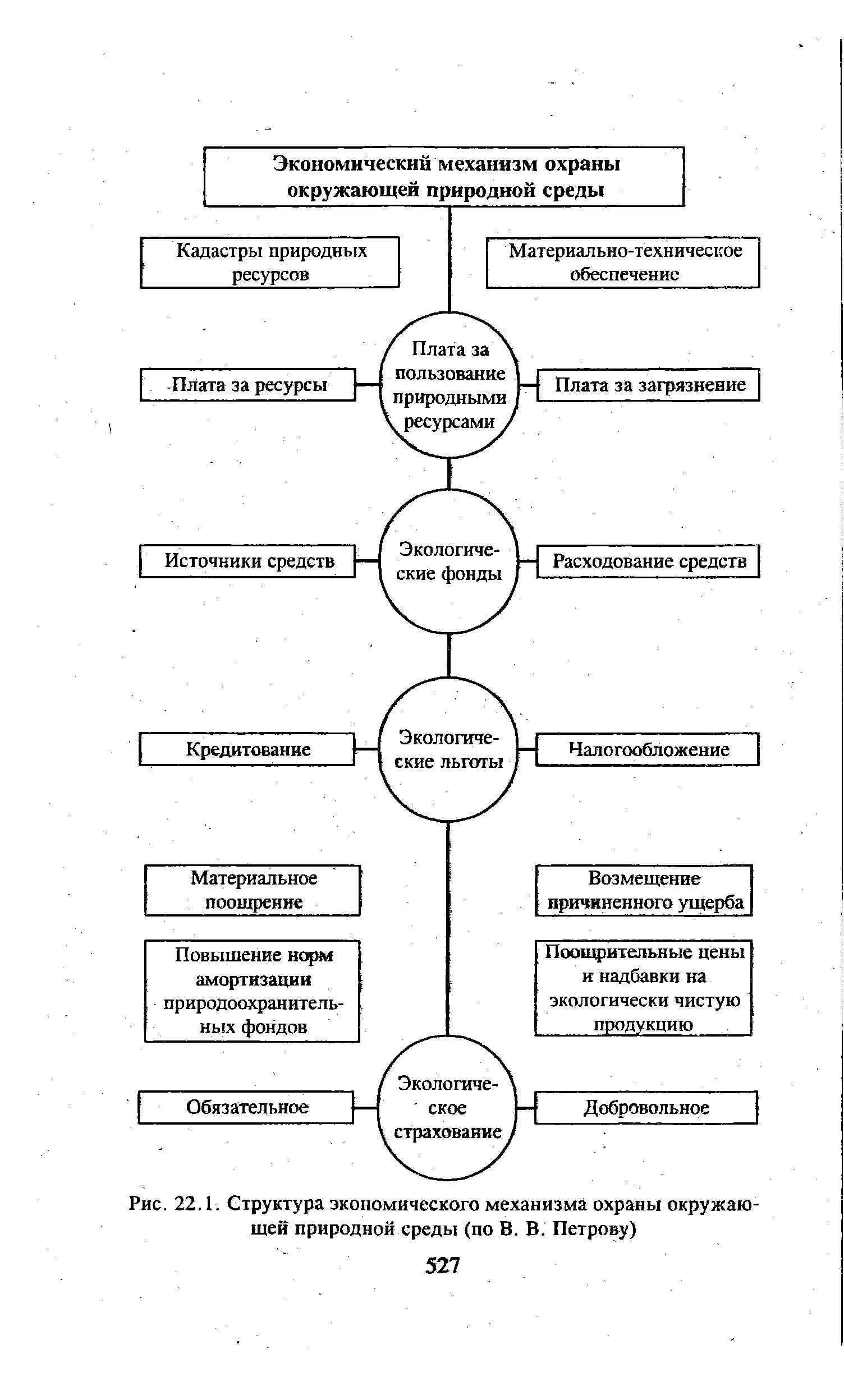 Принципы экологической морали схема