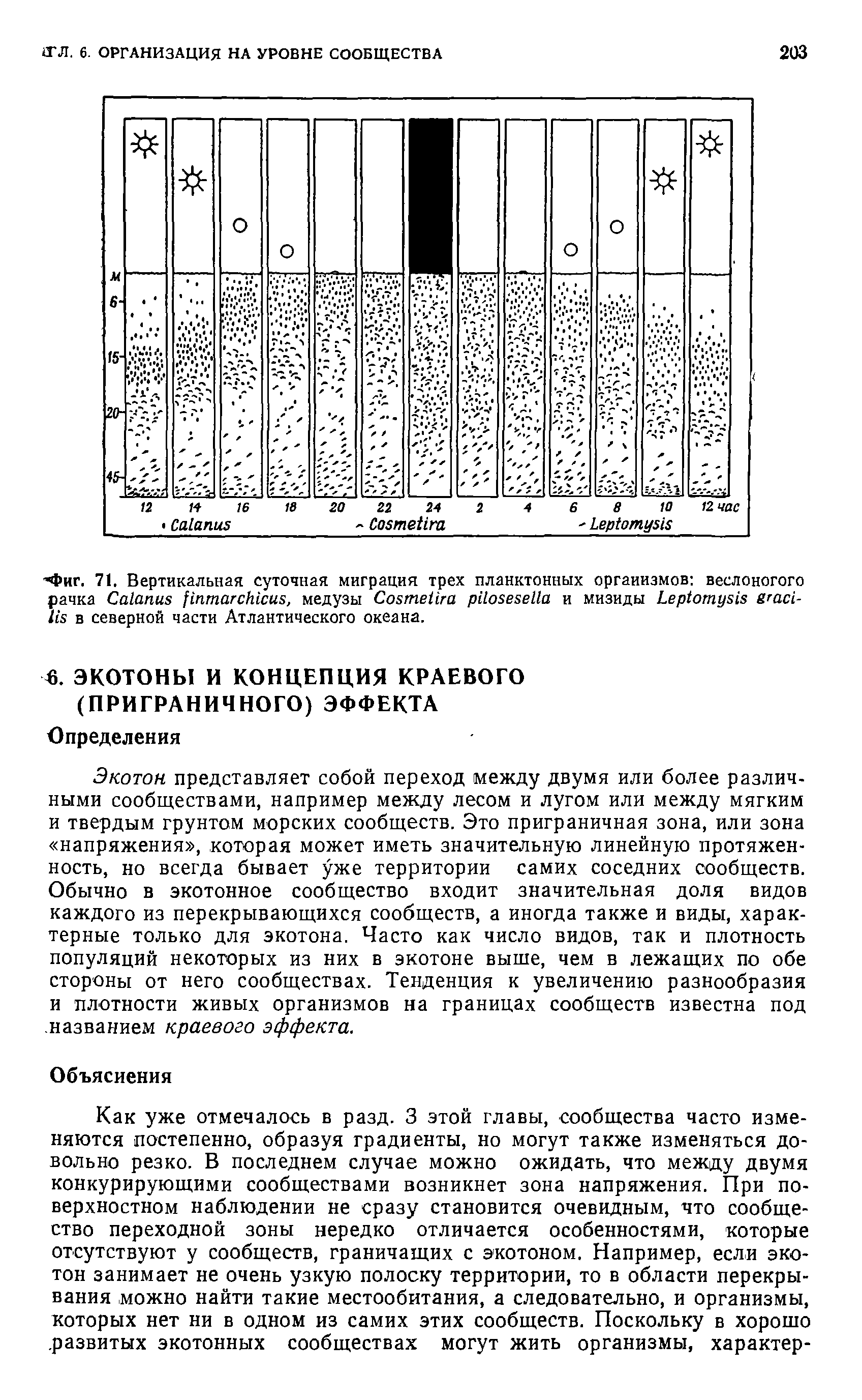 Экотон 17 схема