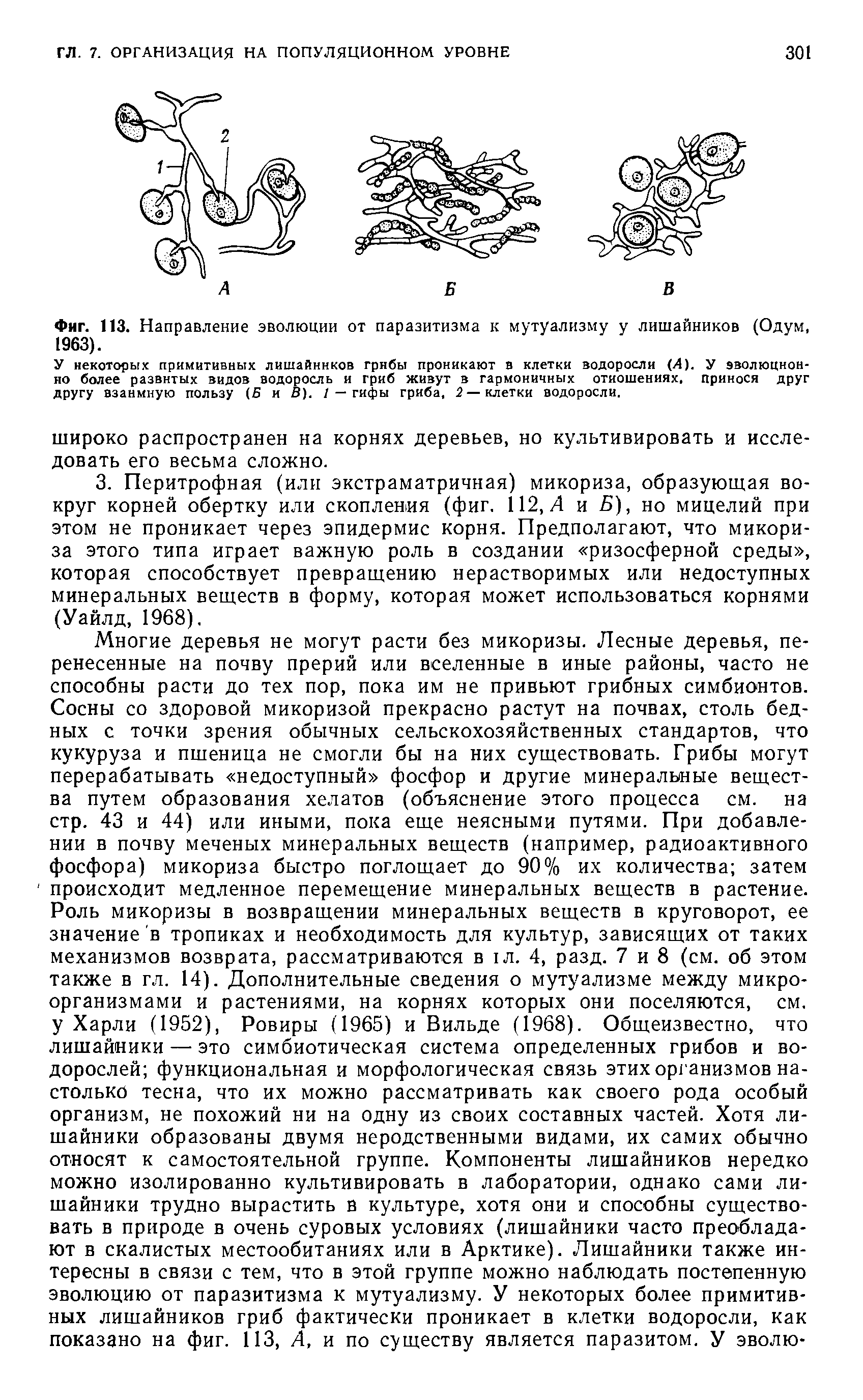 Проект на тему печатающие устройства их эволюция направления развития