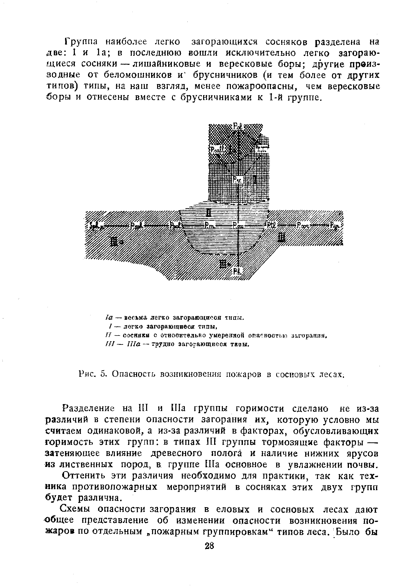 На рисунке показаны возникшие после лесного пожара