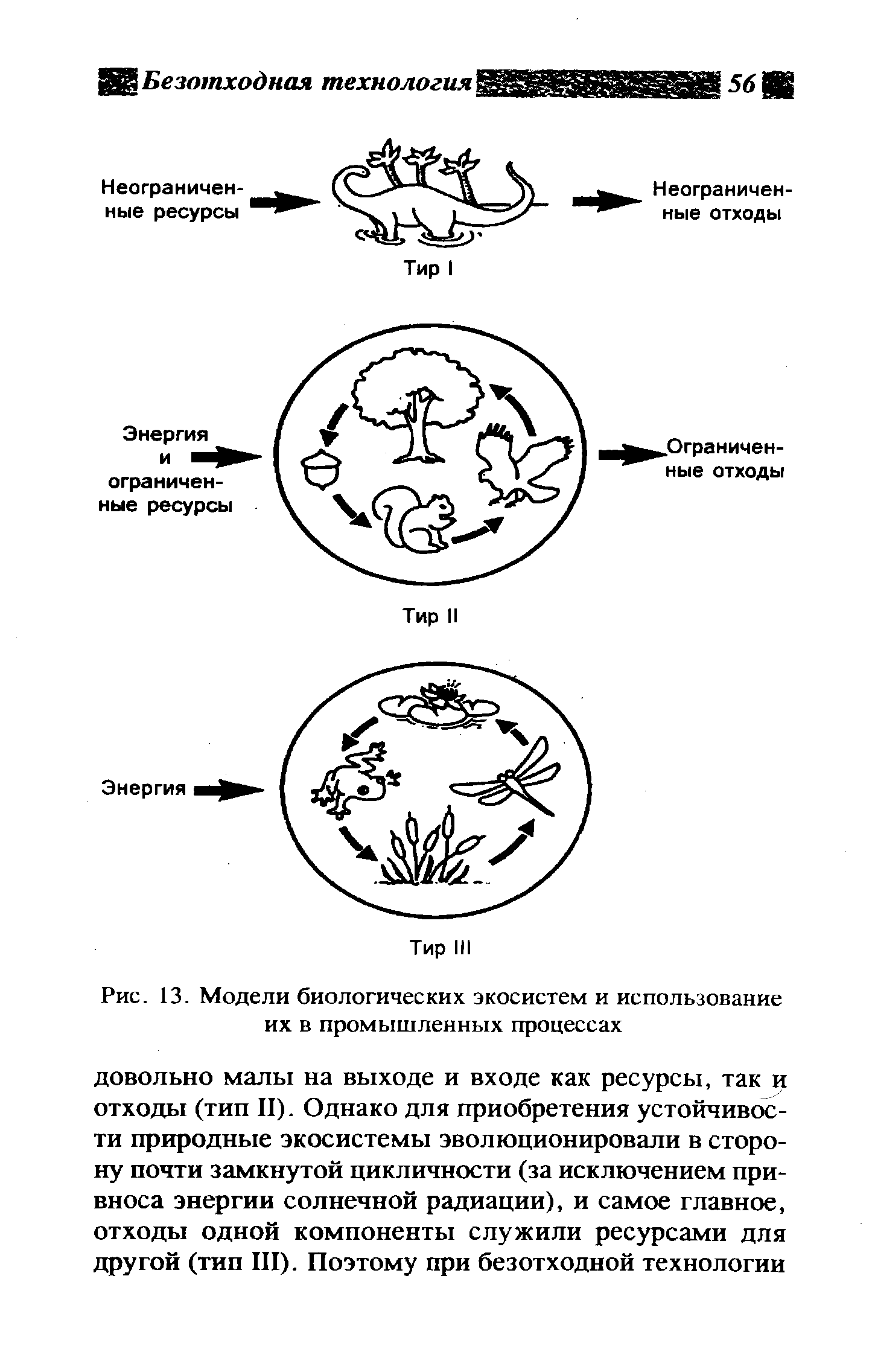 Проект 9 класс по биологии комнатный аквариум как модель экосистемы