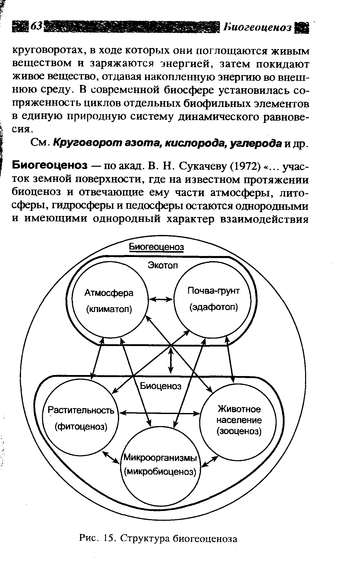 Проведите экскурсию в биогеоценоз под руководством учителя разработайте план и маршрут экскурсии