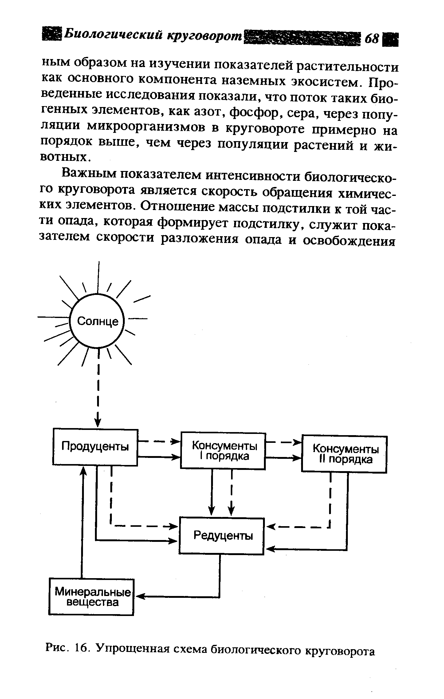 Упрощенная схема биологического круговорота веществ