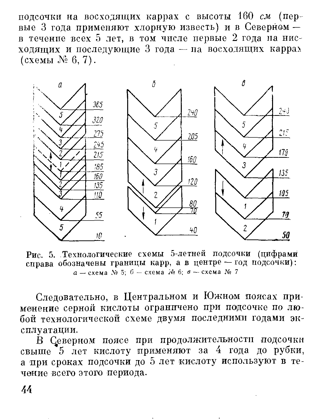 Схемы подсочки сосны