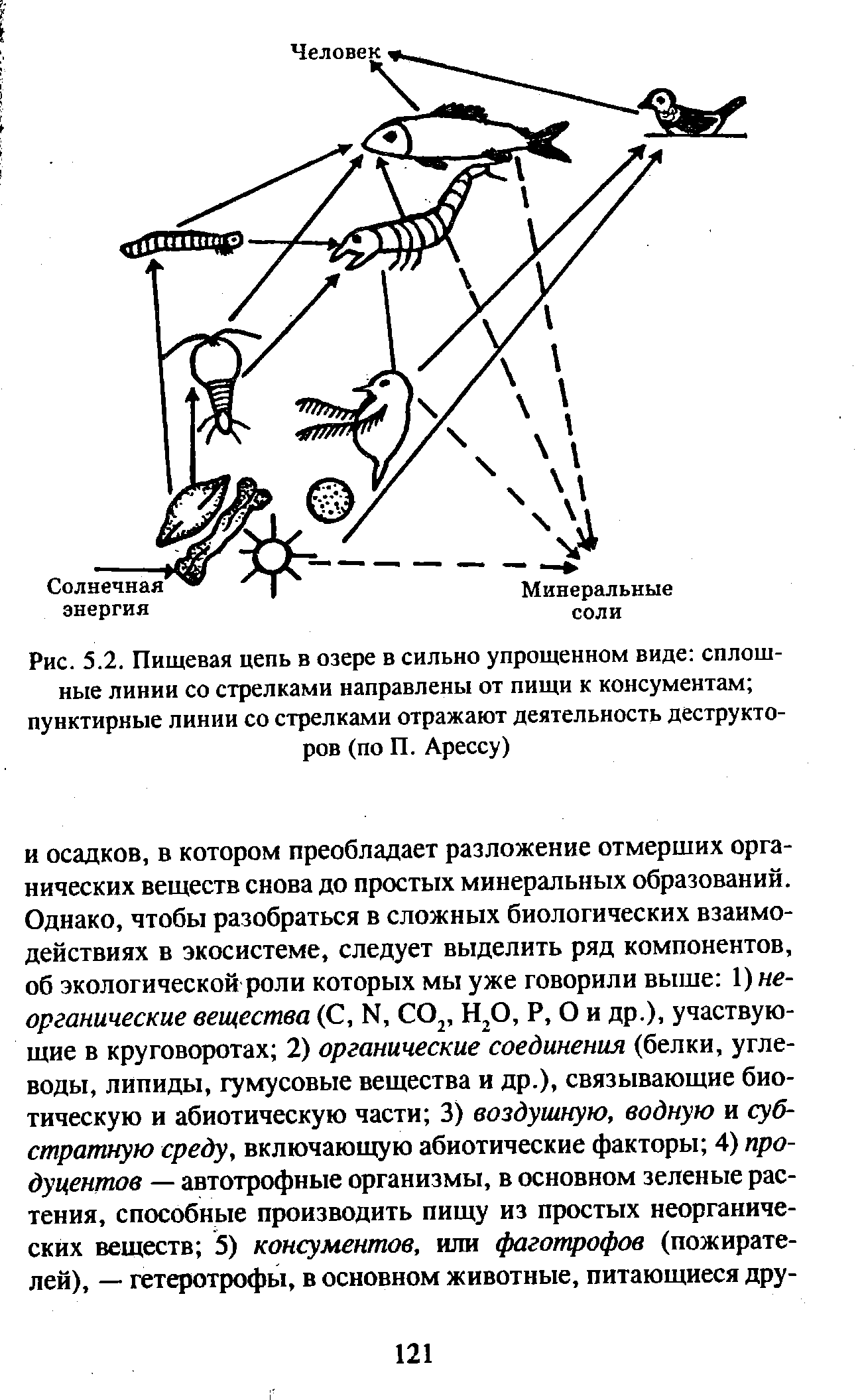 Найдите на рисунке ошибку в изображении перехода вещества и энергии в цепи питания