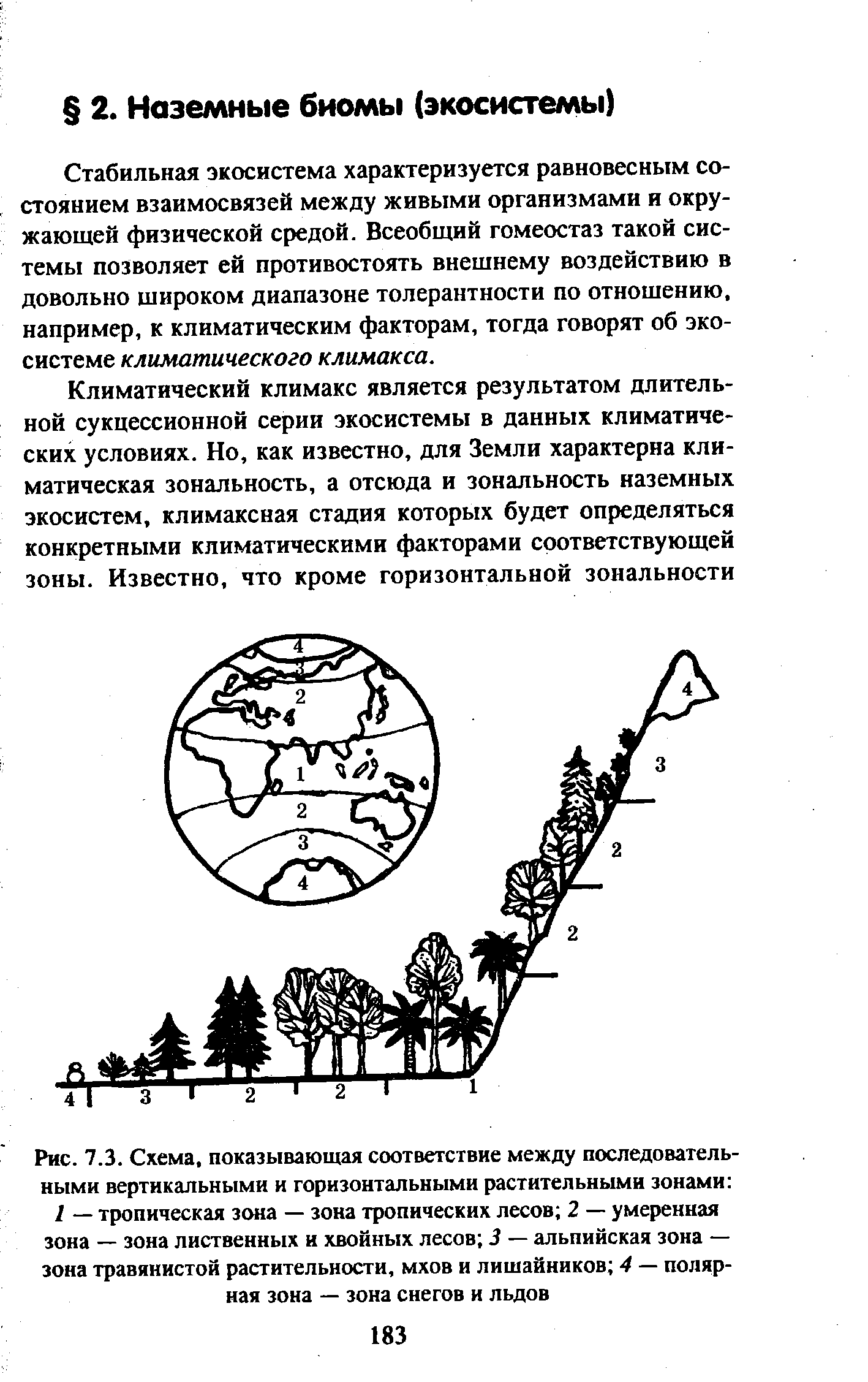 Установите соответствие между растительными тканями изображенными на рисунке и их особенностями