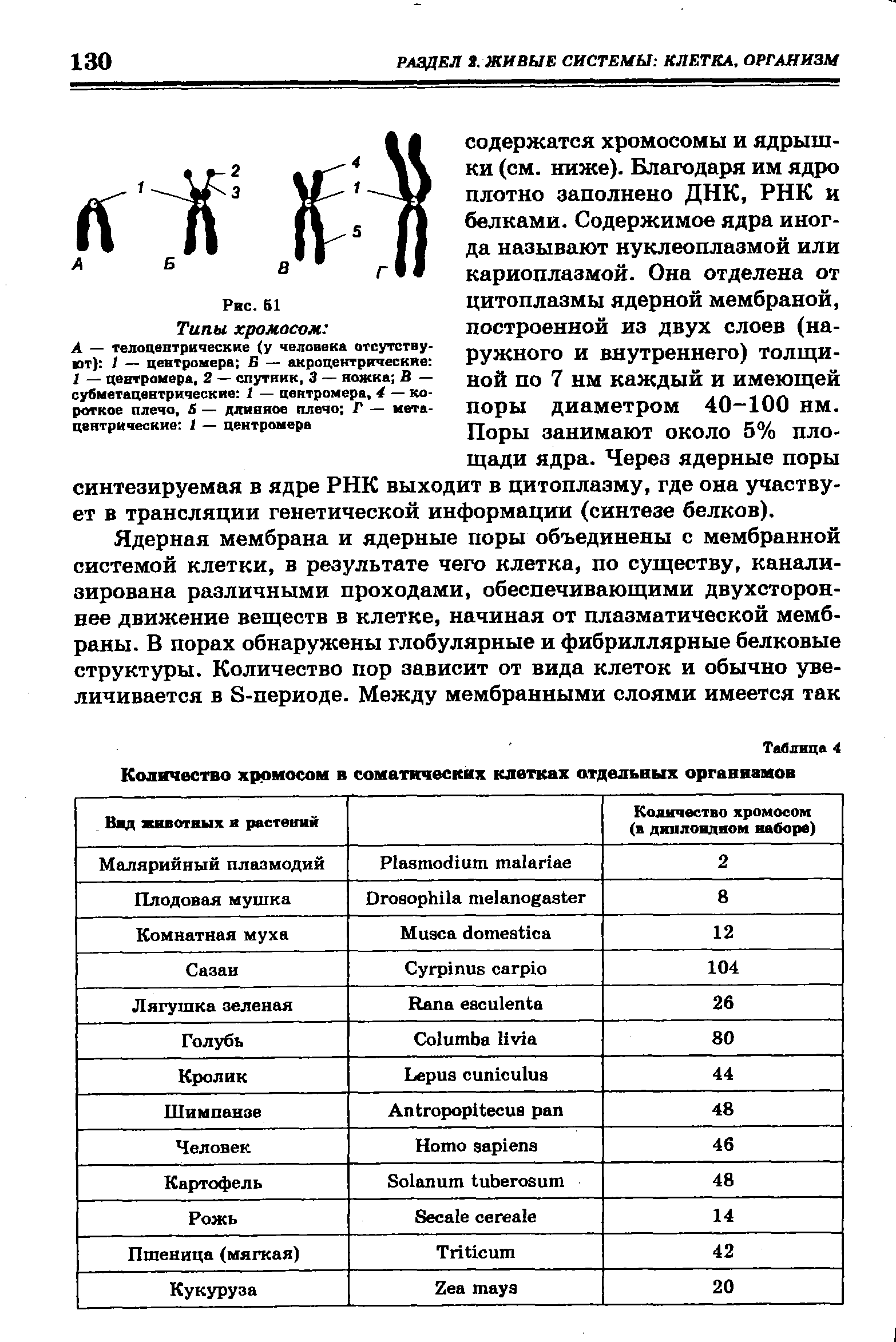 Определенным числом хромосом в соматических клетках. Количество хромосом таблица. Сколько хромосом в соматических клетках. Минимальное количество хромосом. Количество хромосом в соматических клетках человека составляет:.