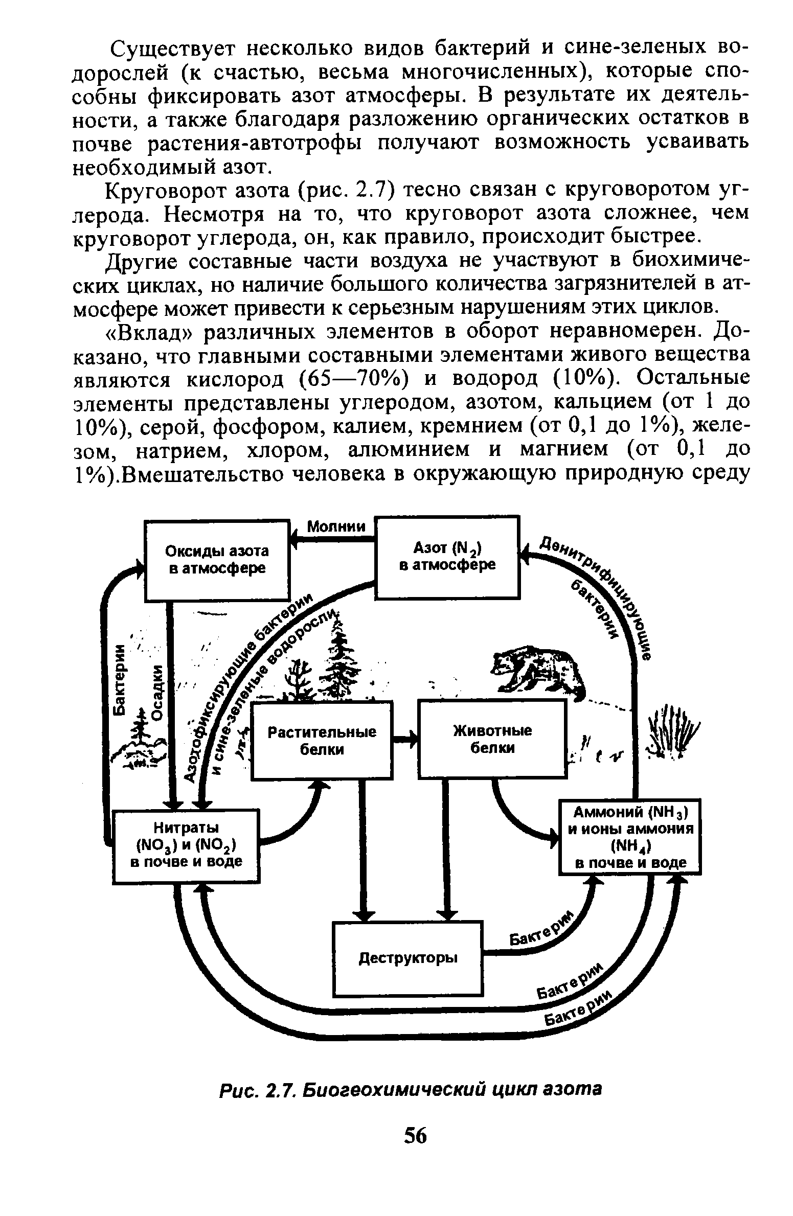 Биогеохимический цикл азота схема