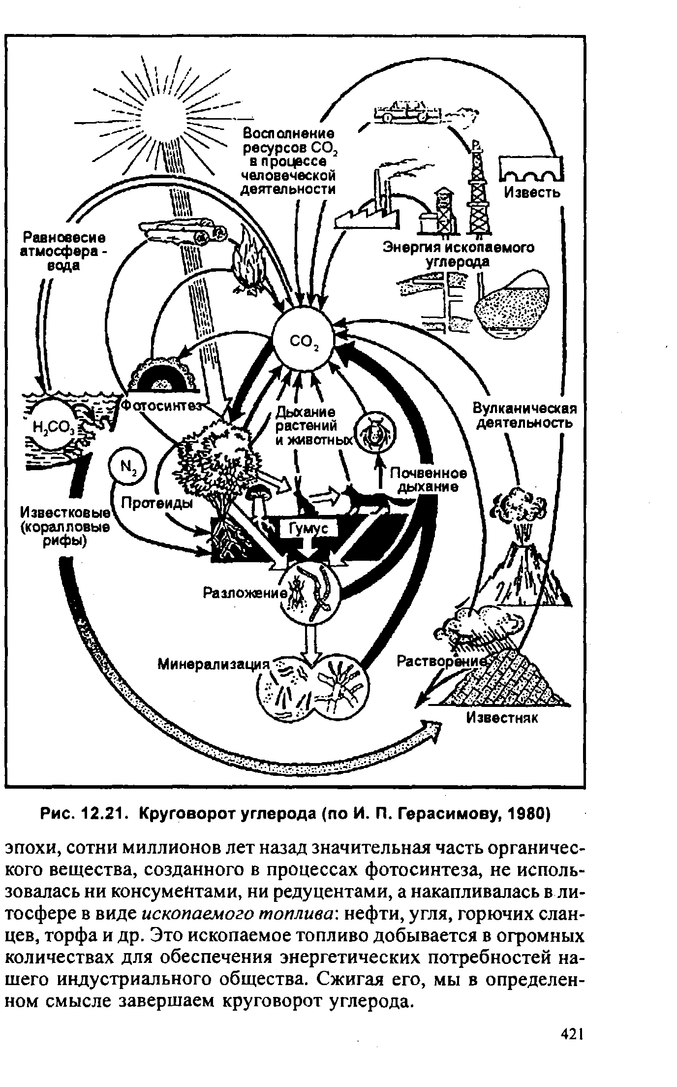 Круговорот углерода химия. Схема круговорота углерода в водной и наземной экосистемах. Круговорот углерода (по ф. Рамад, 1981). Круговорот углерода в природе схема. Схема биогеохимического цикла углерода в биосфере.