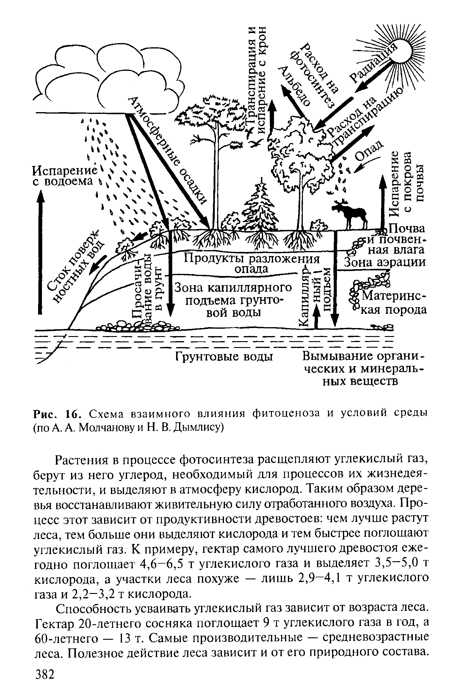 Заполните схему фитоценоз