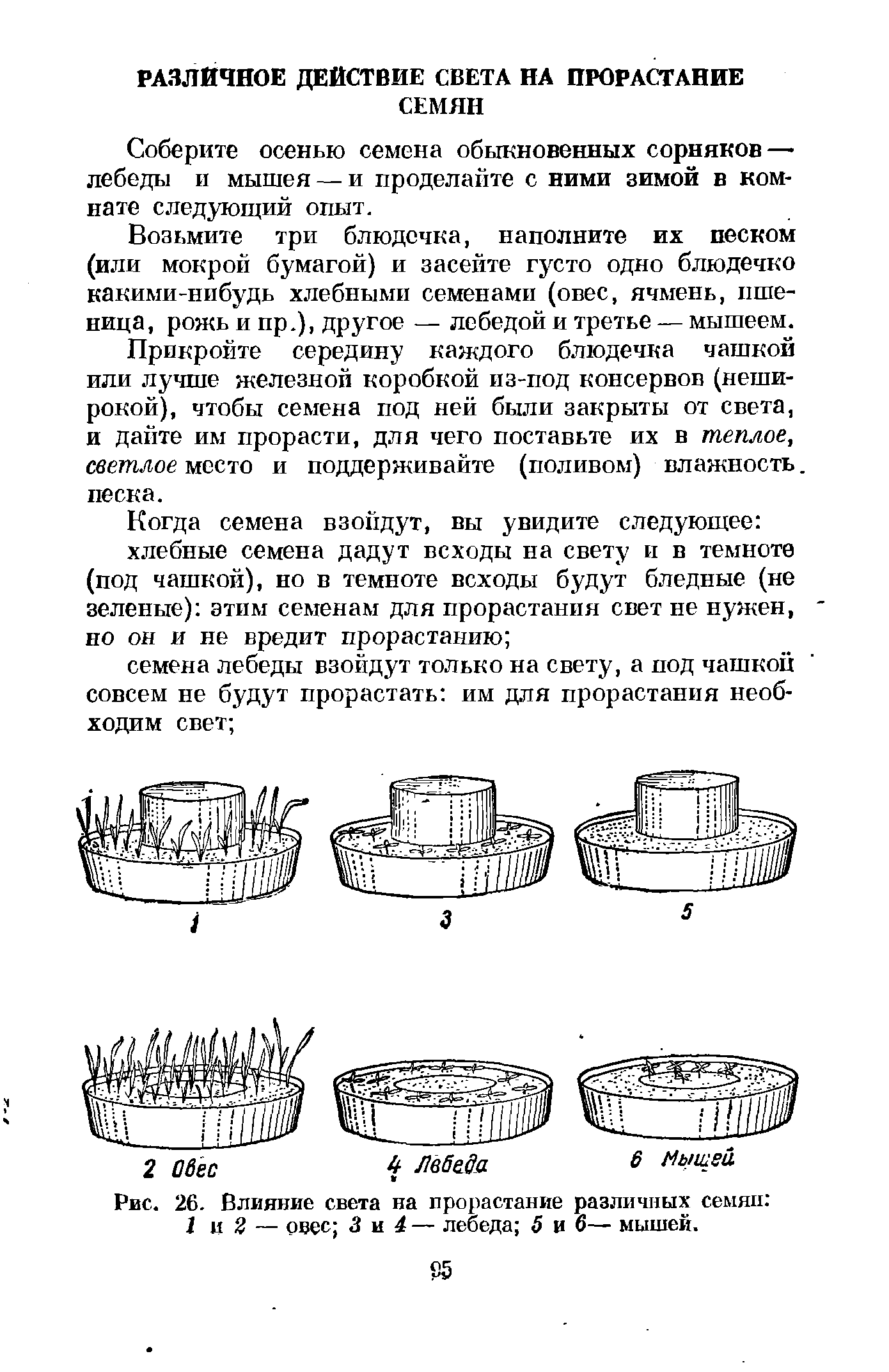 Как пить джесс схема