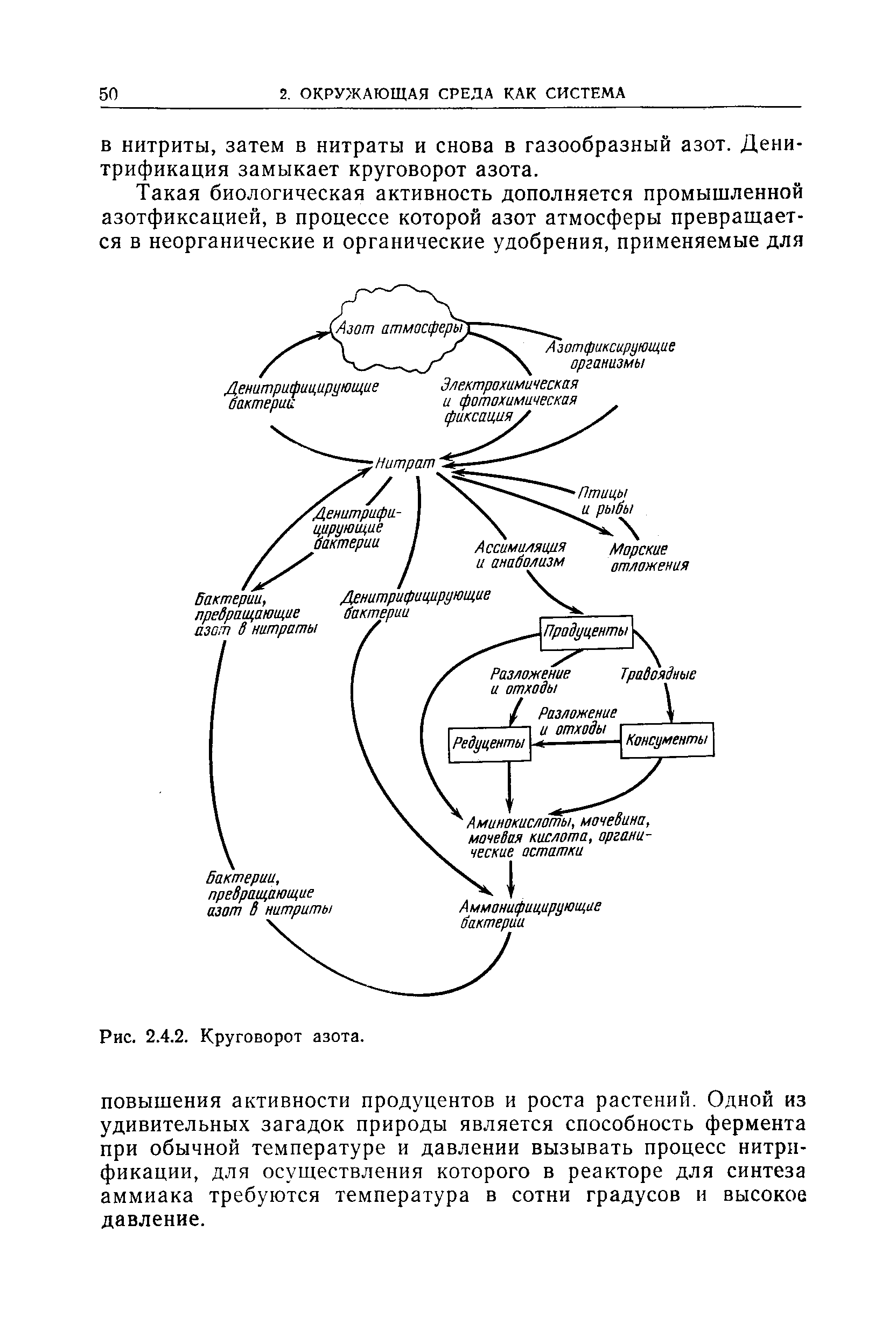 Рассмотрите рисунок на котором представлена схема круговорота азота в природе