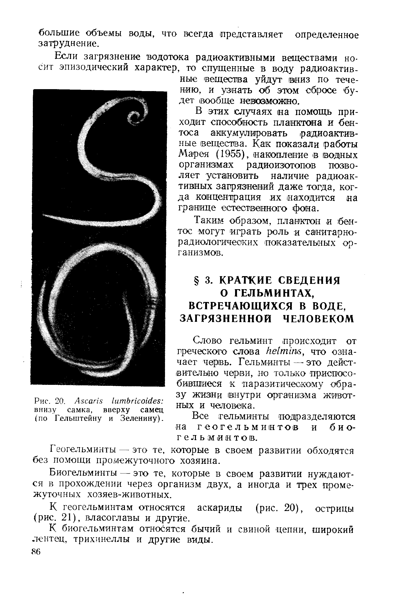 Бычий цепень биогельминт. Геогельминты это. Острицы, власоглав, аскариды.