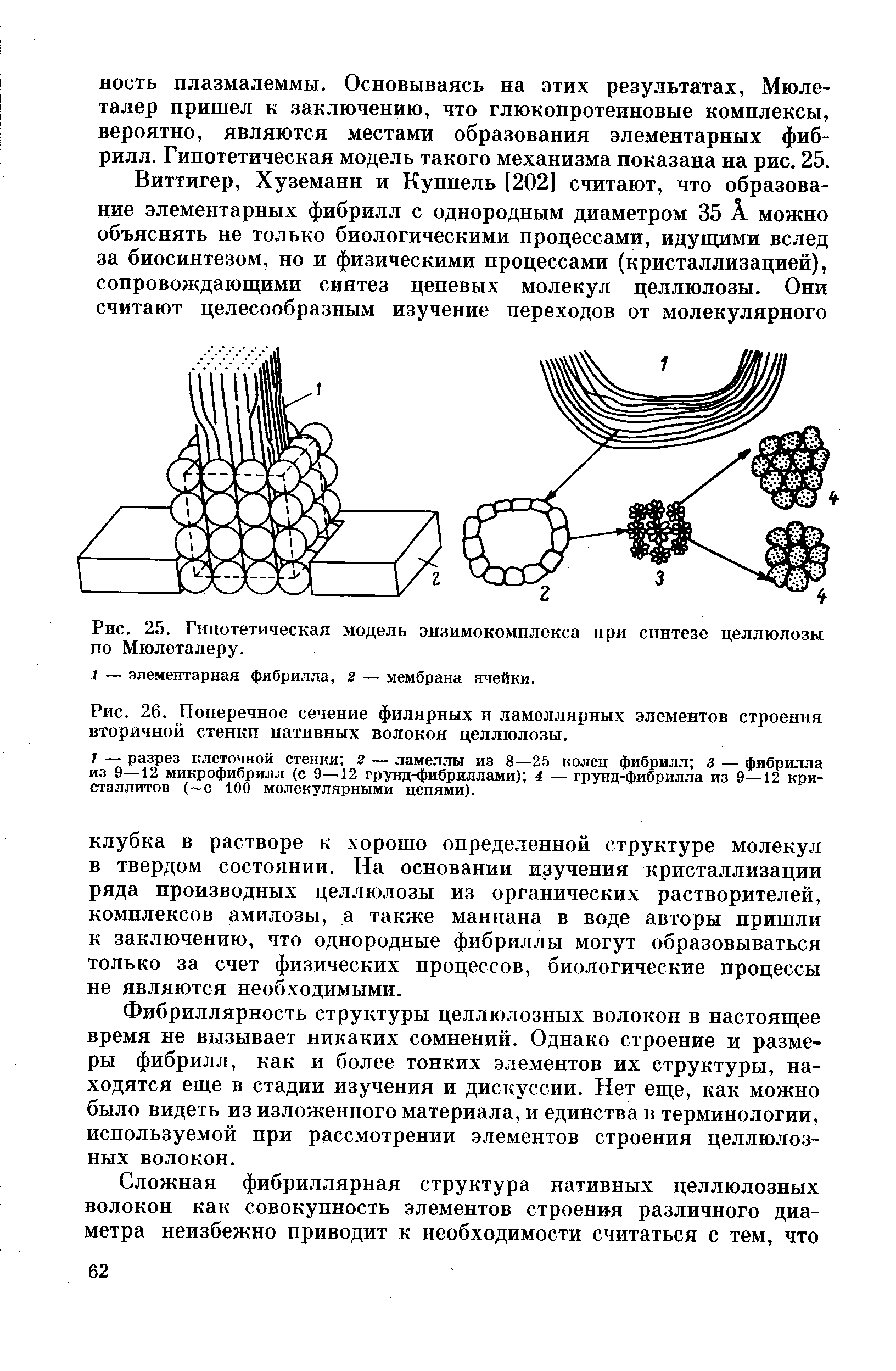 На рисунке изображено поперечное сечение листа рассмотри рисунок