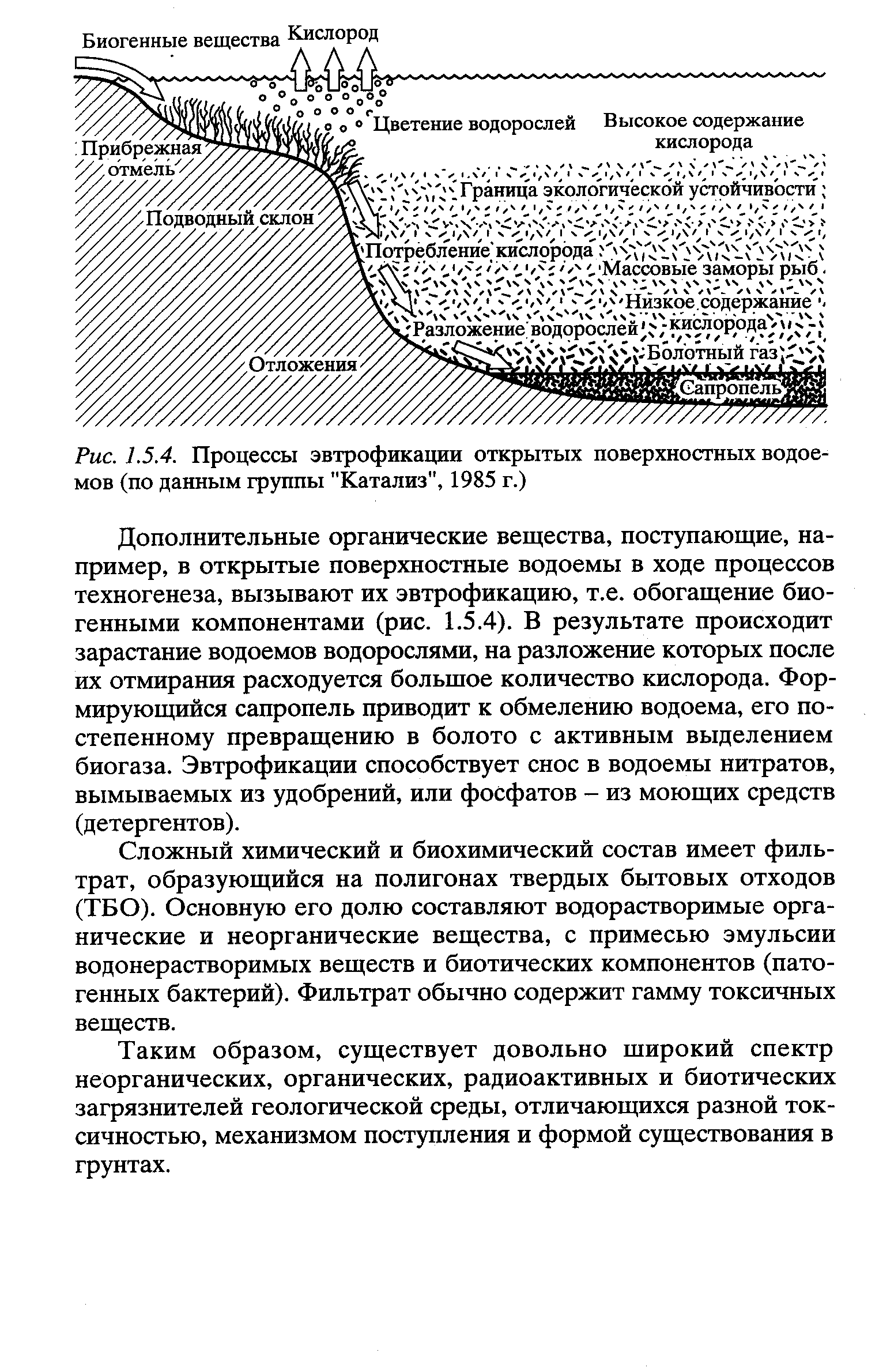 На рисунке показано что в процессе эвтрофикации в водоеме может произойти