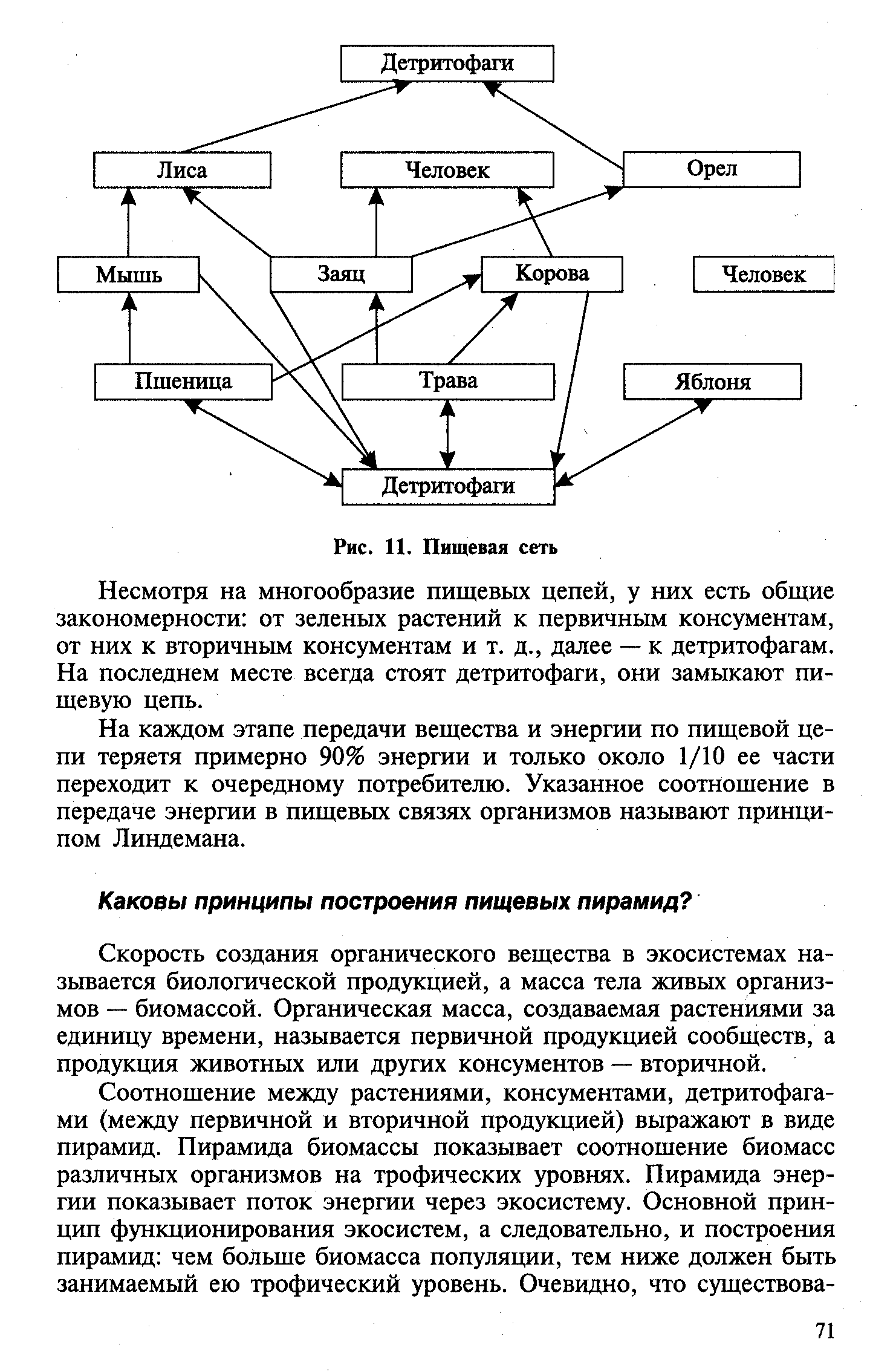 Составление схем передачи веществ и энергии по цепям питания в природной экосистеме