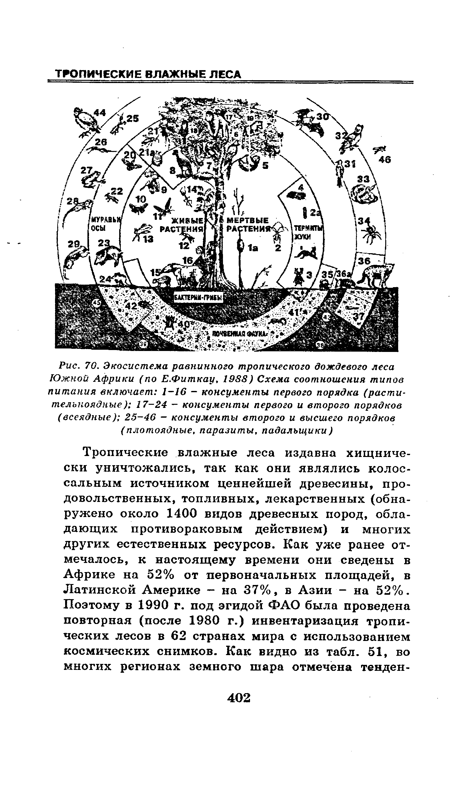 Экосистема леса схема