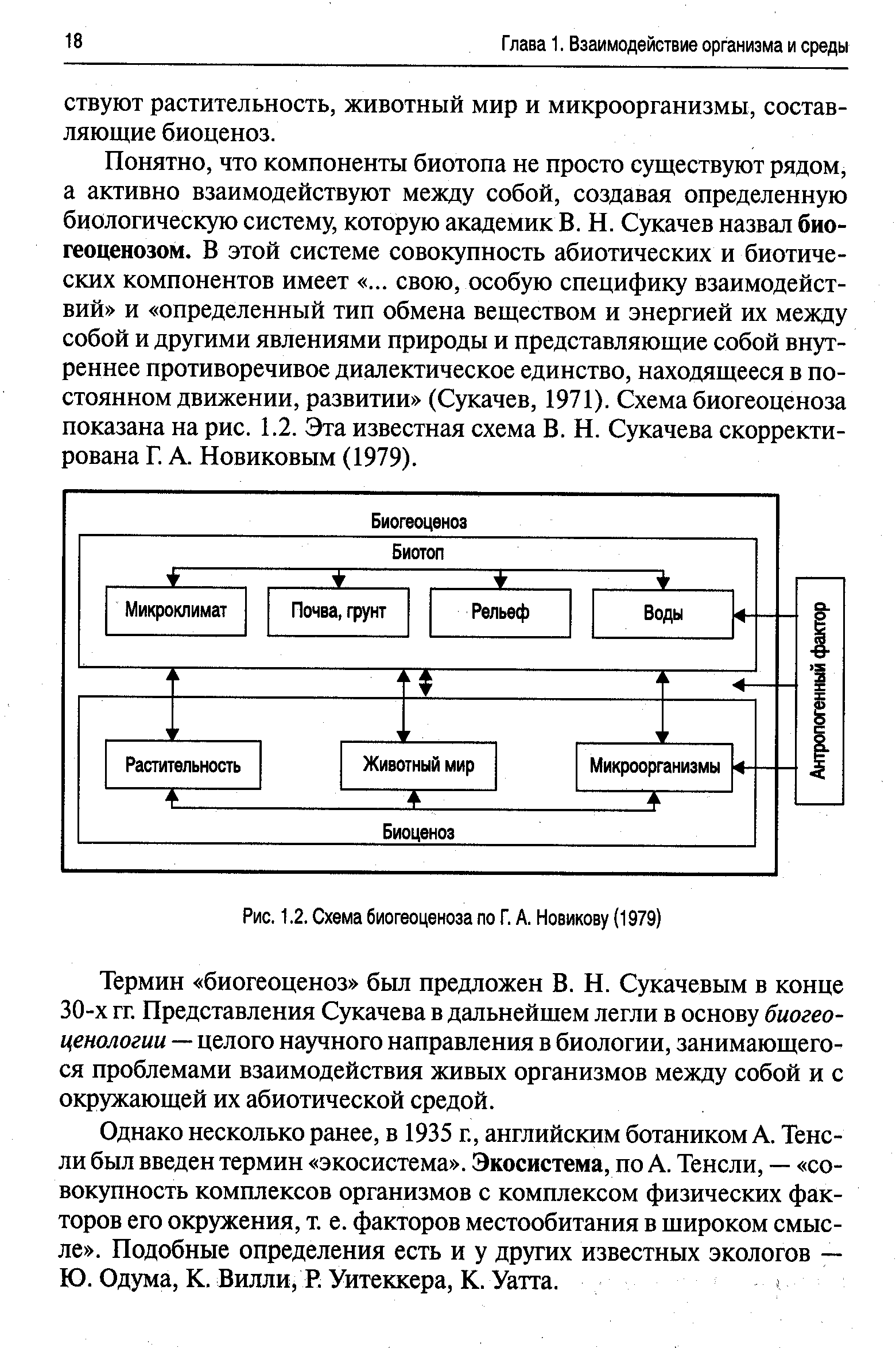 Термин биогеоценоз сукачев. Схема биогеоценоза по в.н Сукачеву. Схема биогеоценоза по Сукачеву. Биогеоценоз Сукачев. Уровни биогеоценоза.