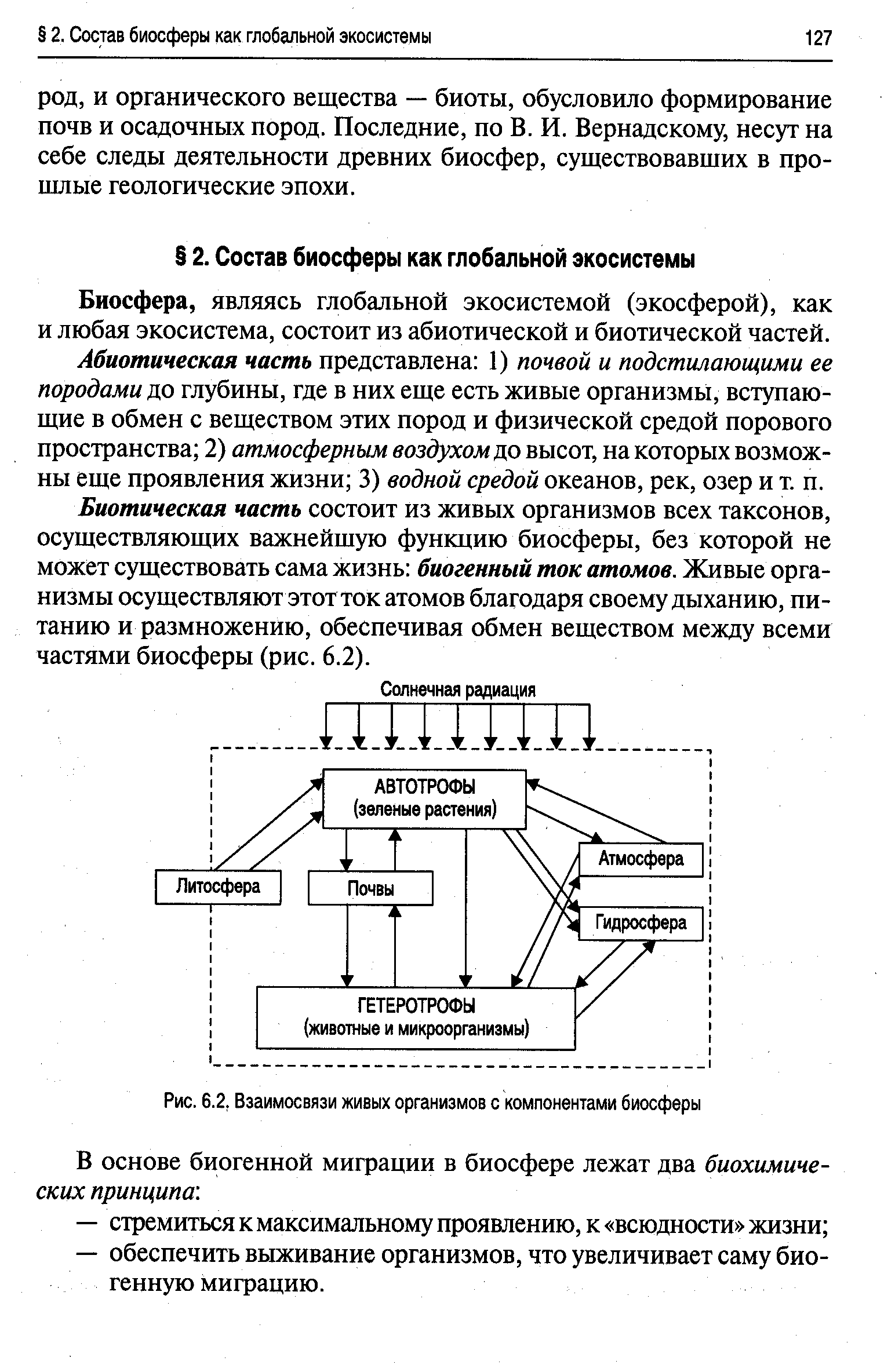 Из каких компонентов состоит экосистема ответ представьте в виде схемы