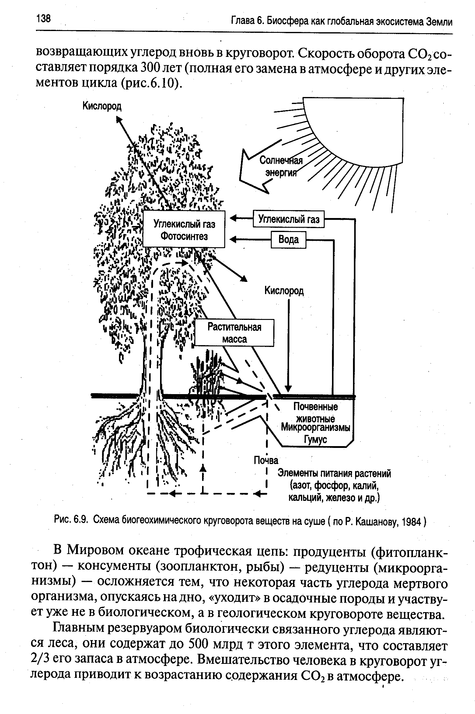 Биогеохимический круговорот схема