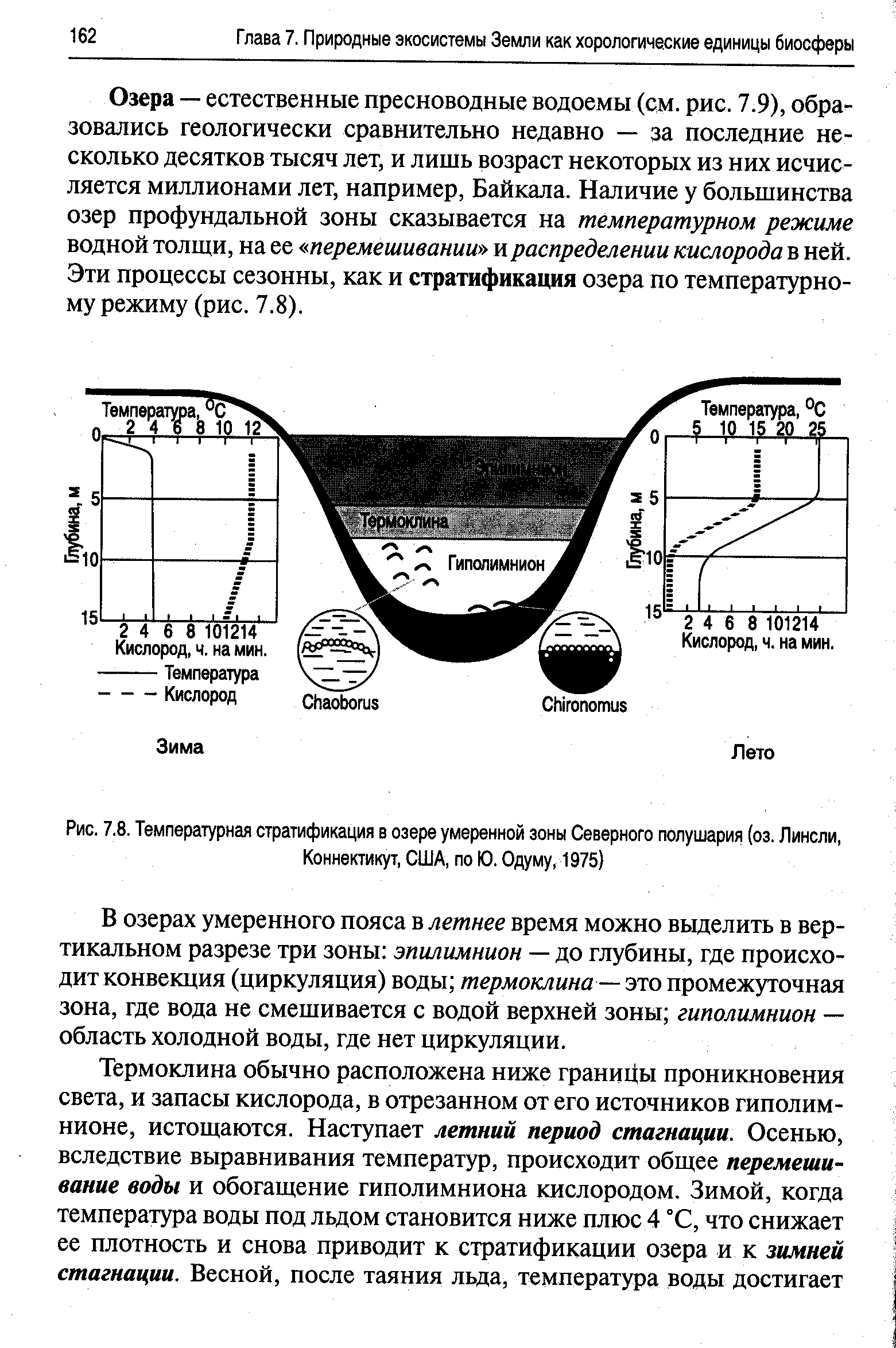 Температурная диаграмма в теплообменнике типа конденсатор