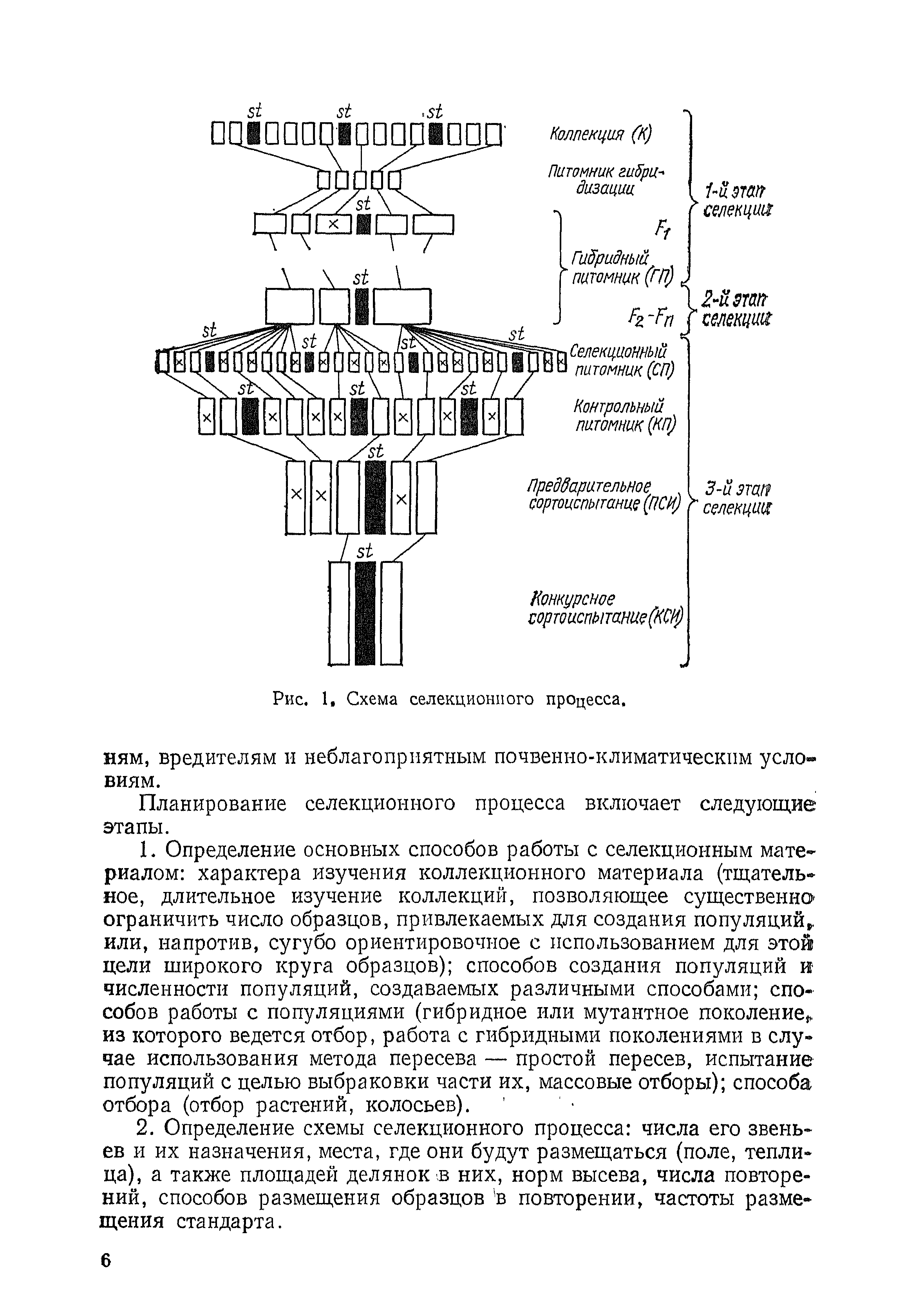 Схема селекционного процесса