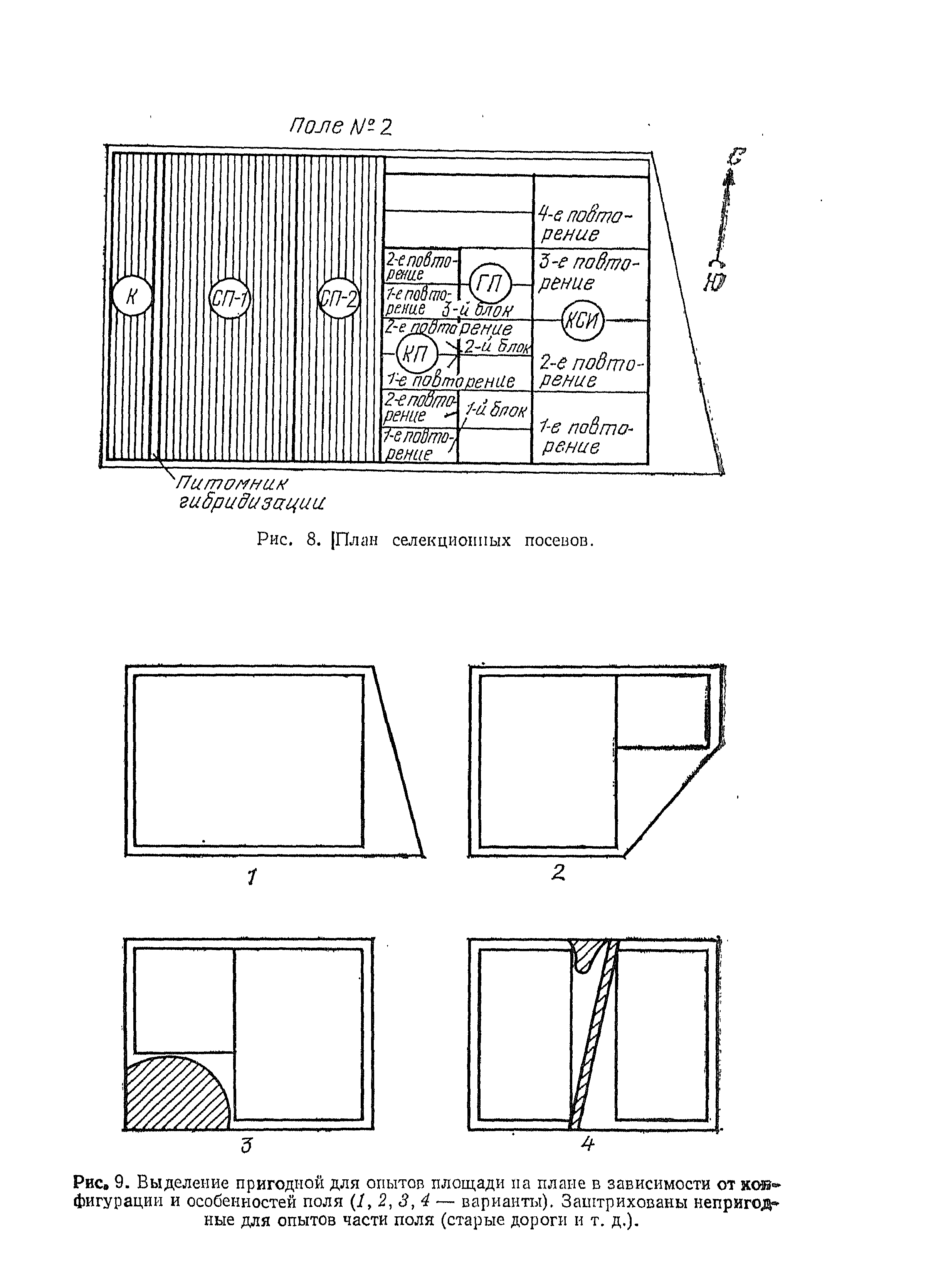 Часть площади опытного участка включающего делянки с полным набором вариантов схемы опыта