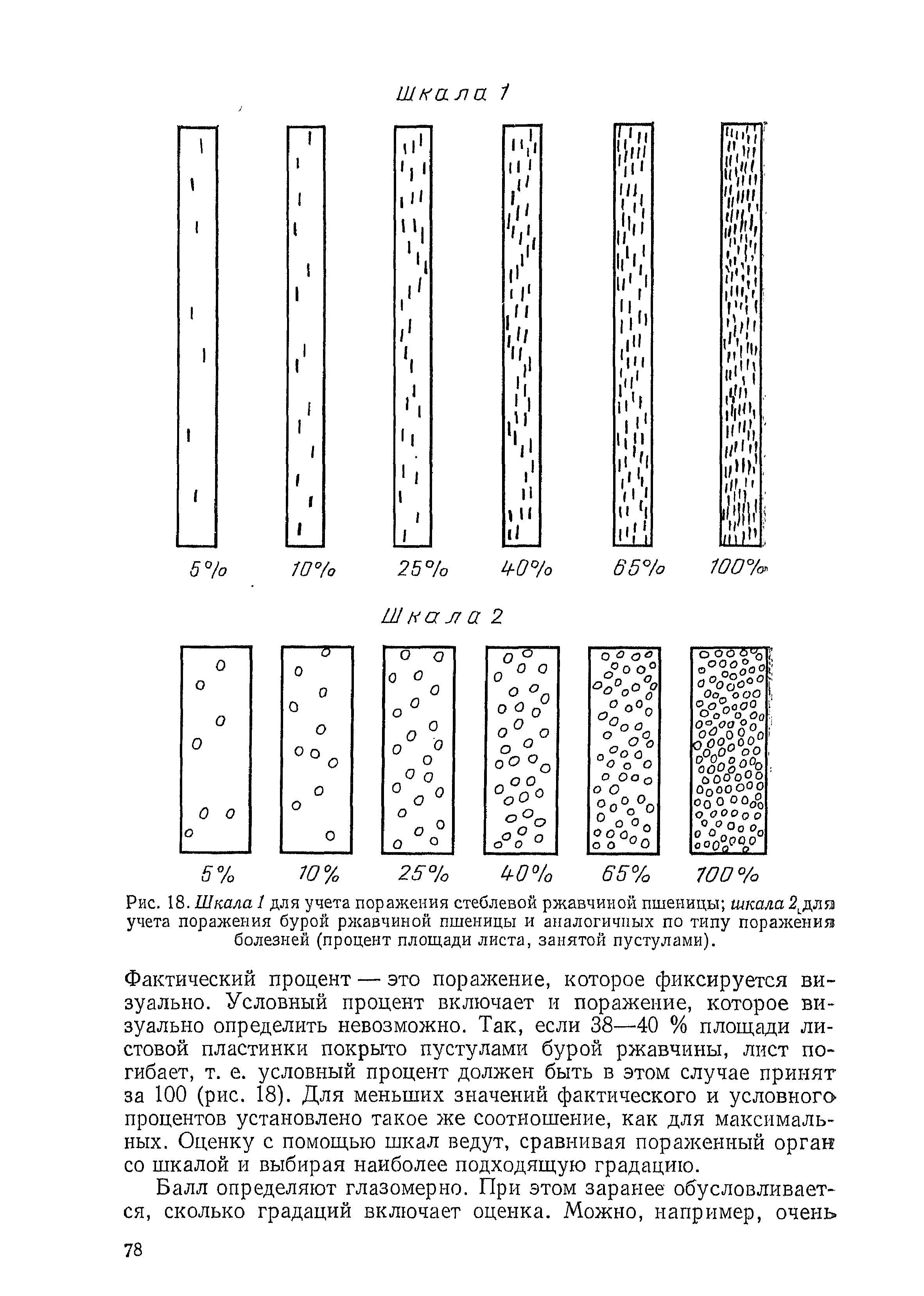 Условный процент. Шкала для учета пораженности зерновых культур видами ржавчины (CIMMYT). Шкала учет бурой ржавчинных болезней пшеницы. Шкала Петерсона для учета ржавчины пшеницы. Шкалы для оценки развития болезней растений.