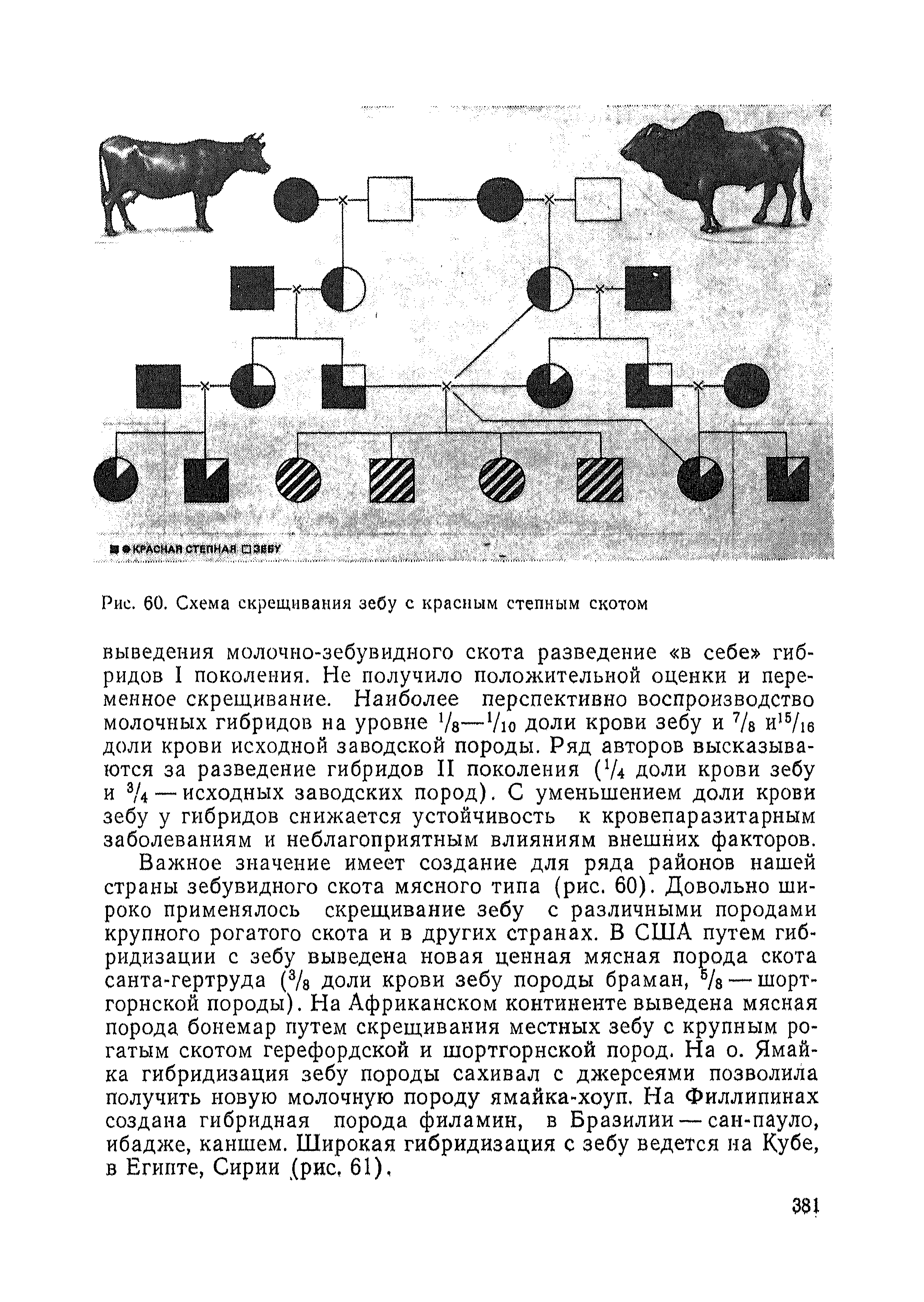 раст схема скрещивания фото 11