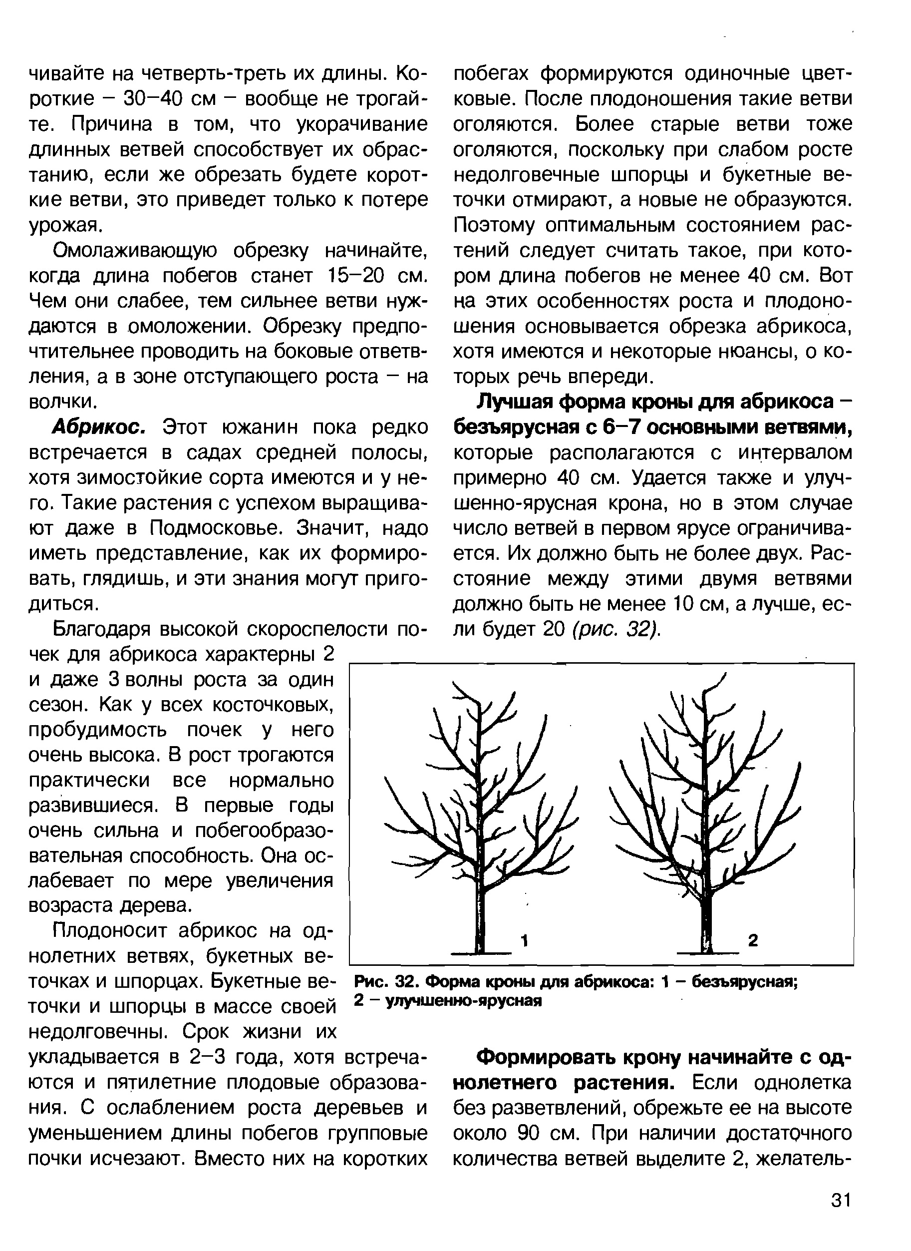 Когда обрезать абрикос в средней полосе. Безъярусная форма кроны. Формирование абрикоса схема кроны по годам. Книга обрезка плодовых деревьев. Агротехника абрикоса схема.