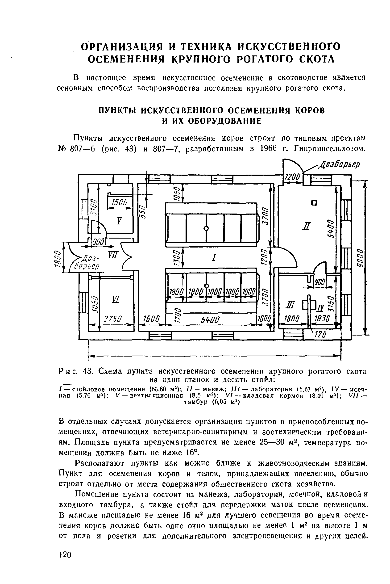 Схема осеменения крс - 82 фото