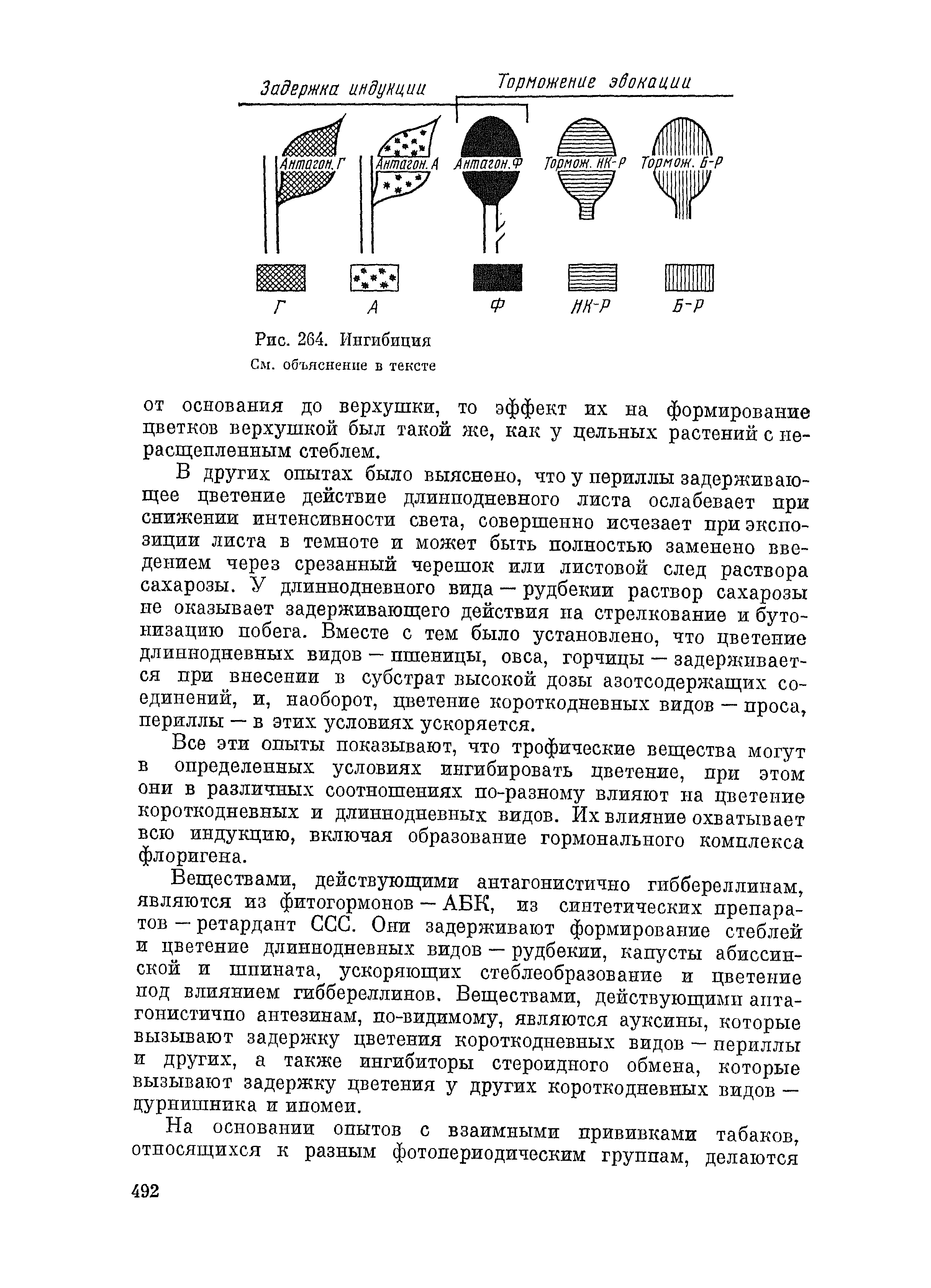 Объяснение биошок инфинити