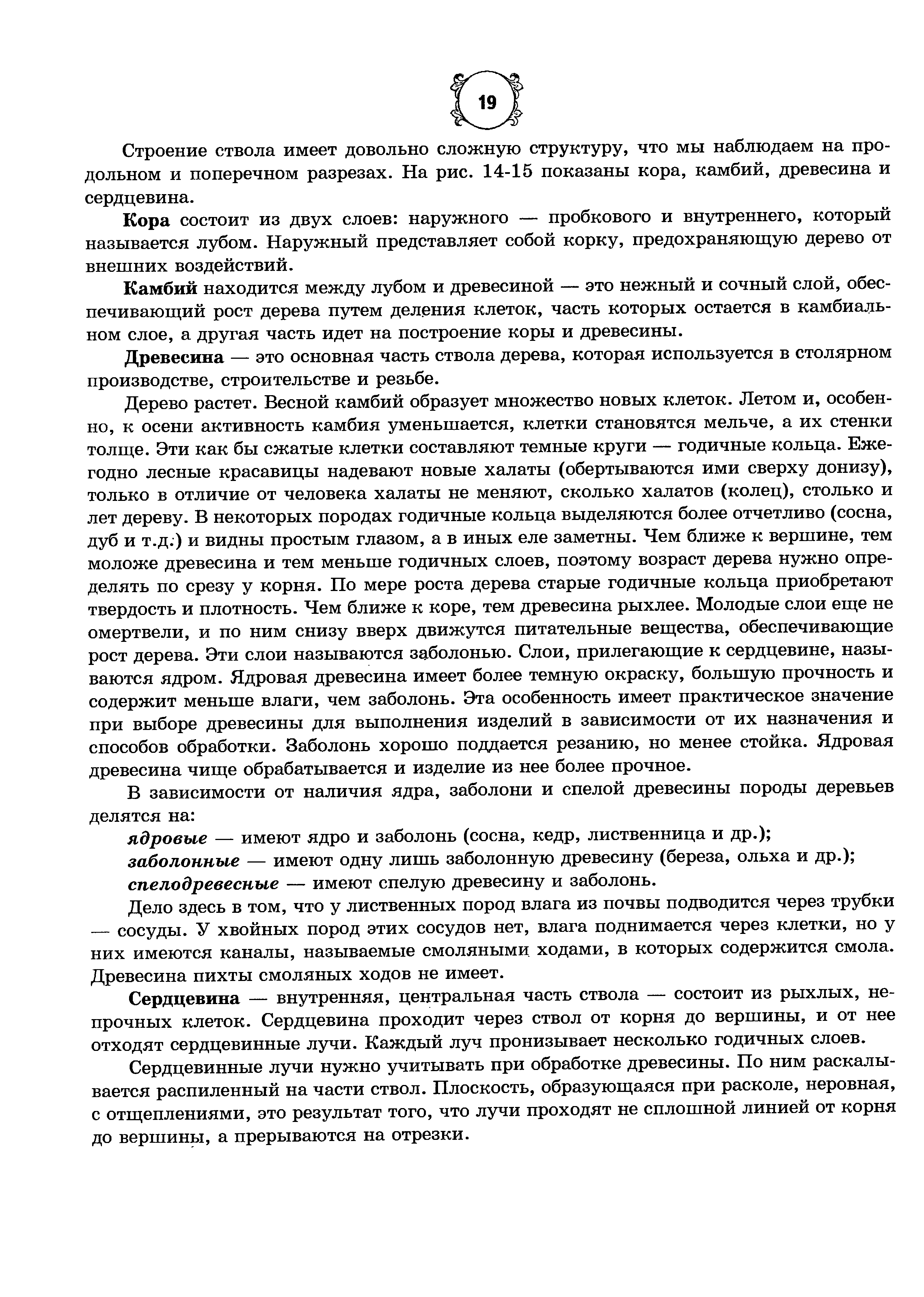 Рассмотри рисунок и закончи текст вписав нужные термины в корковом слое почки находится