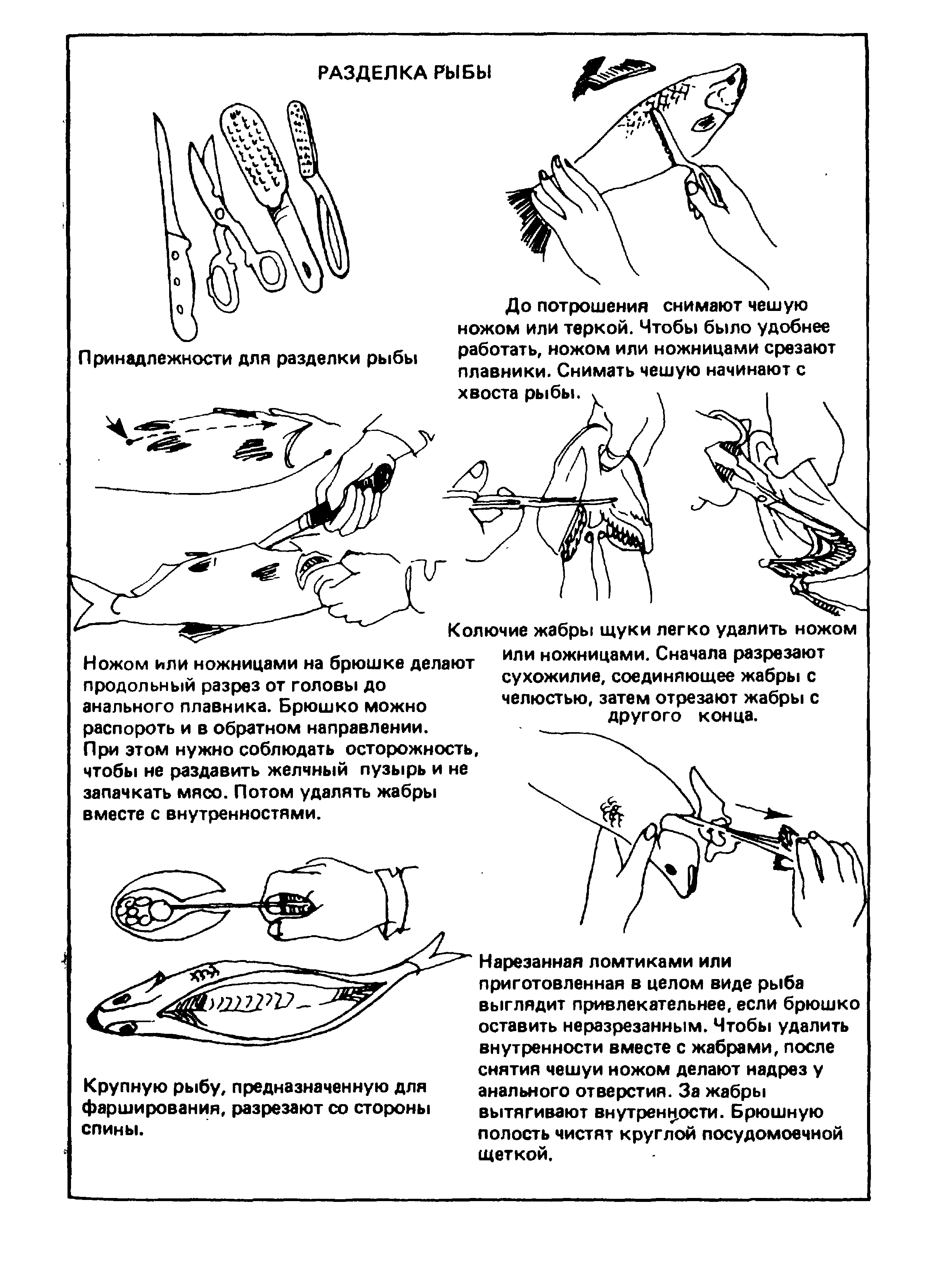 Инструкция fish. Схема по разделке рыбы. Обработка рыбы разделка рыбы схема. Потрошение рыбы схема. Разделка рыбы целиком схема.
