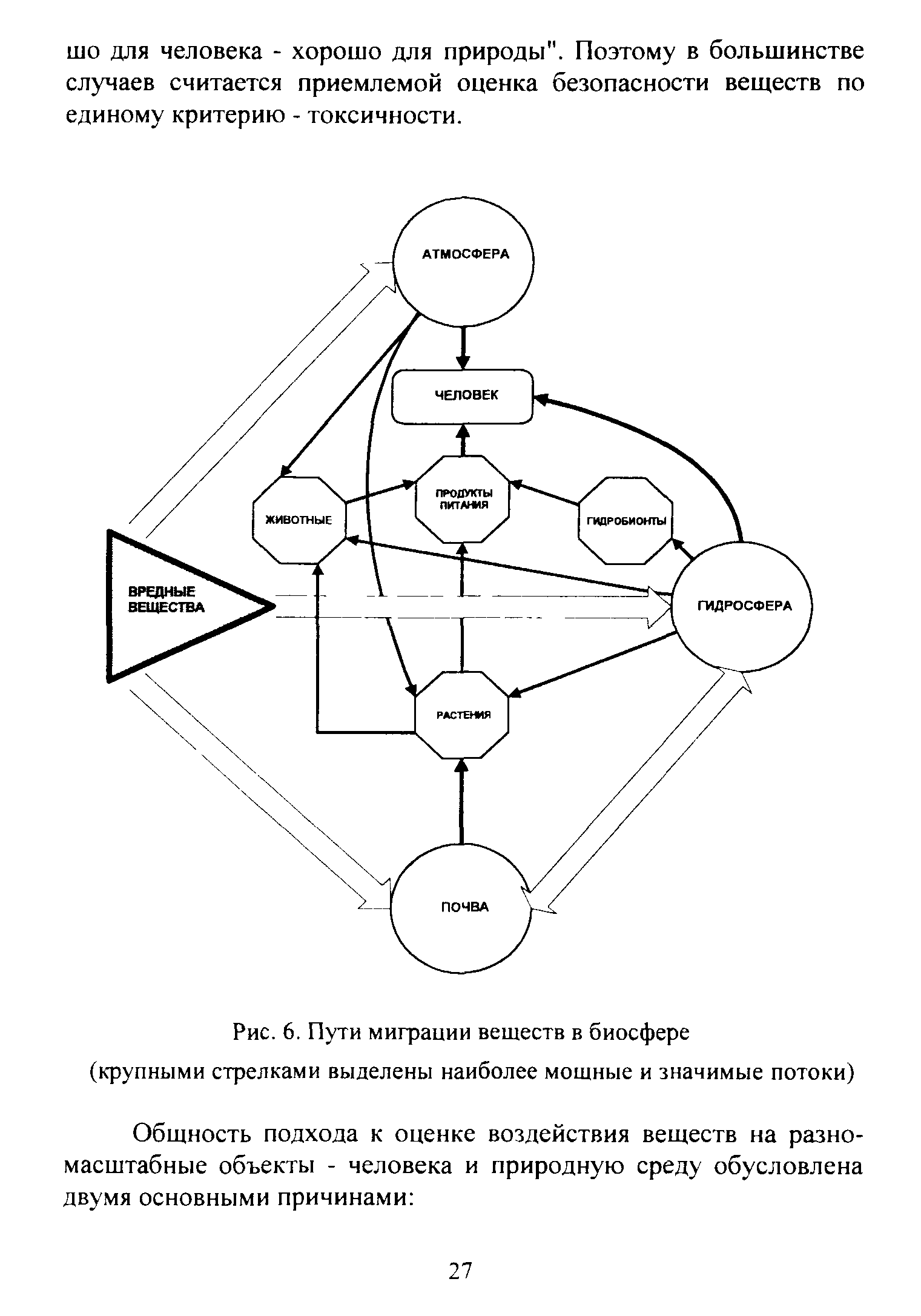 Пути миграции и накопление в биосфере токсичных и радиоактивных веществ схема