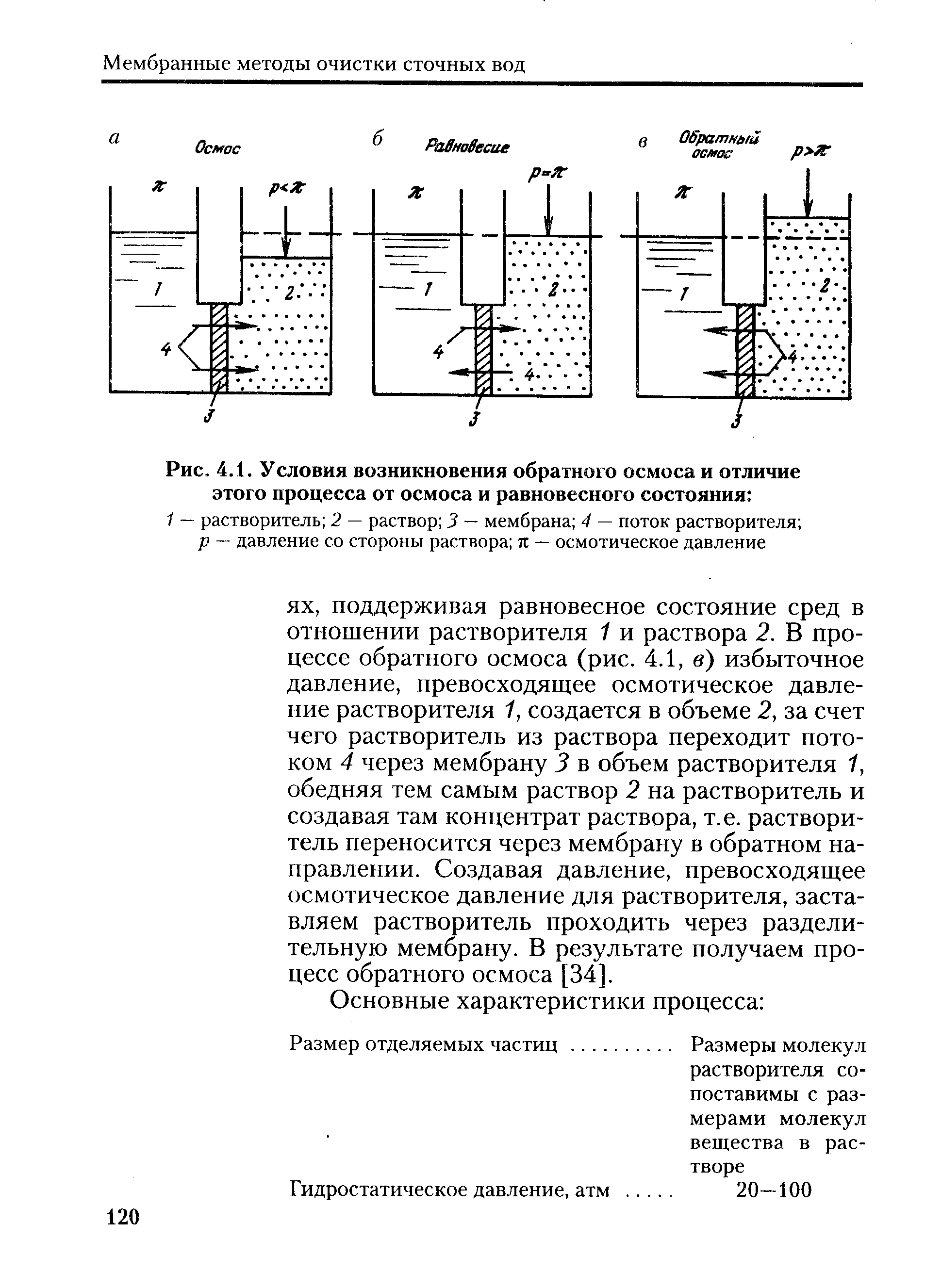 Изучение условий возникновения плесени проект 9 класс