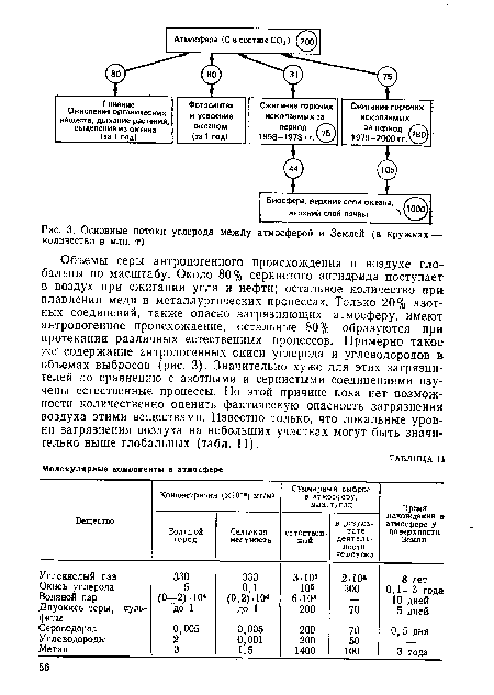Основные потоки углерода между атмосферой и Землей (в кружках — количество в млн. т)